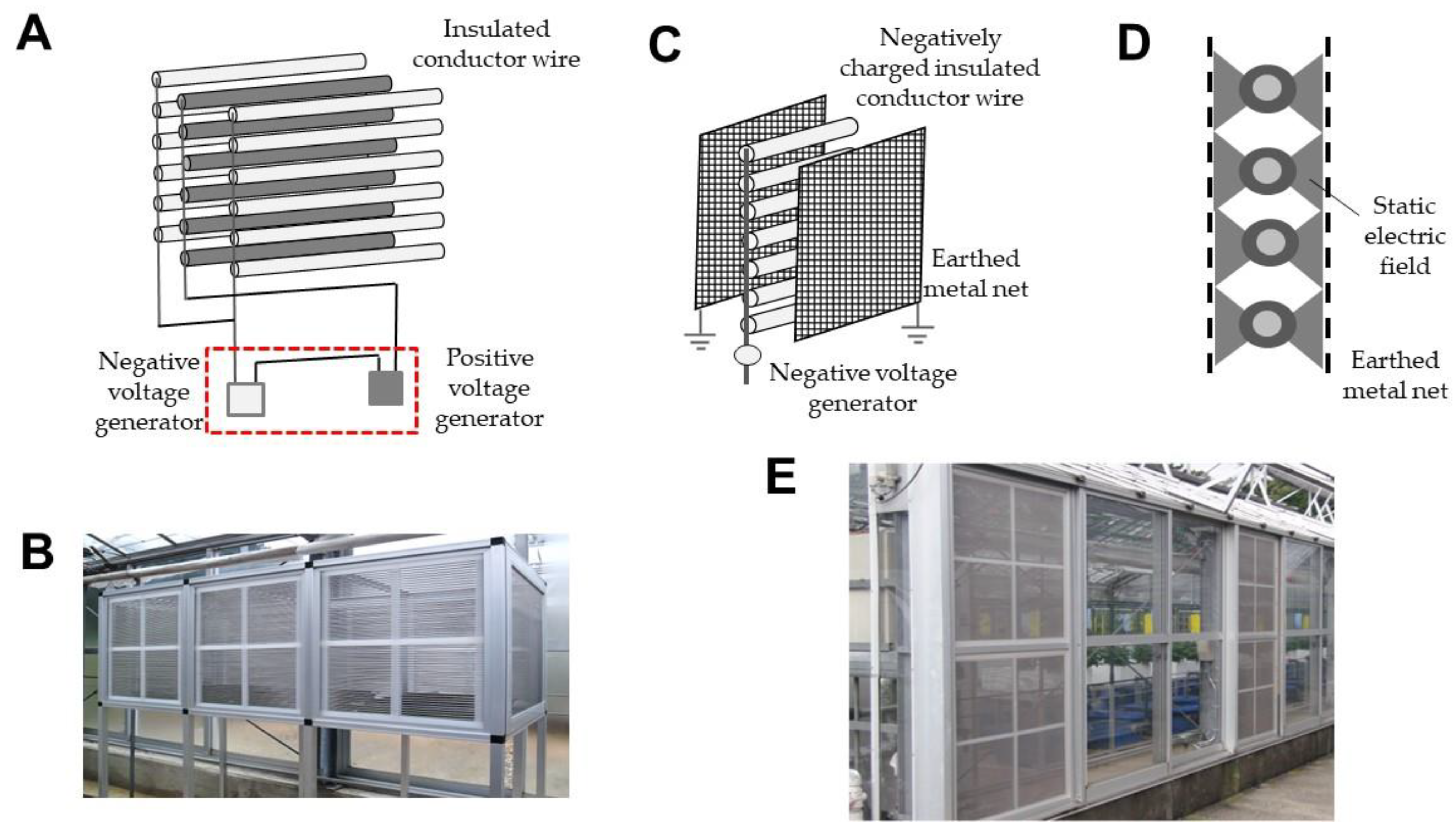 Agronomy 12 02443 g008 Agronomy 12 02443 g008
