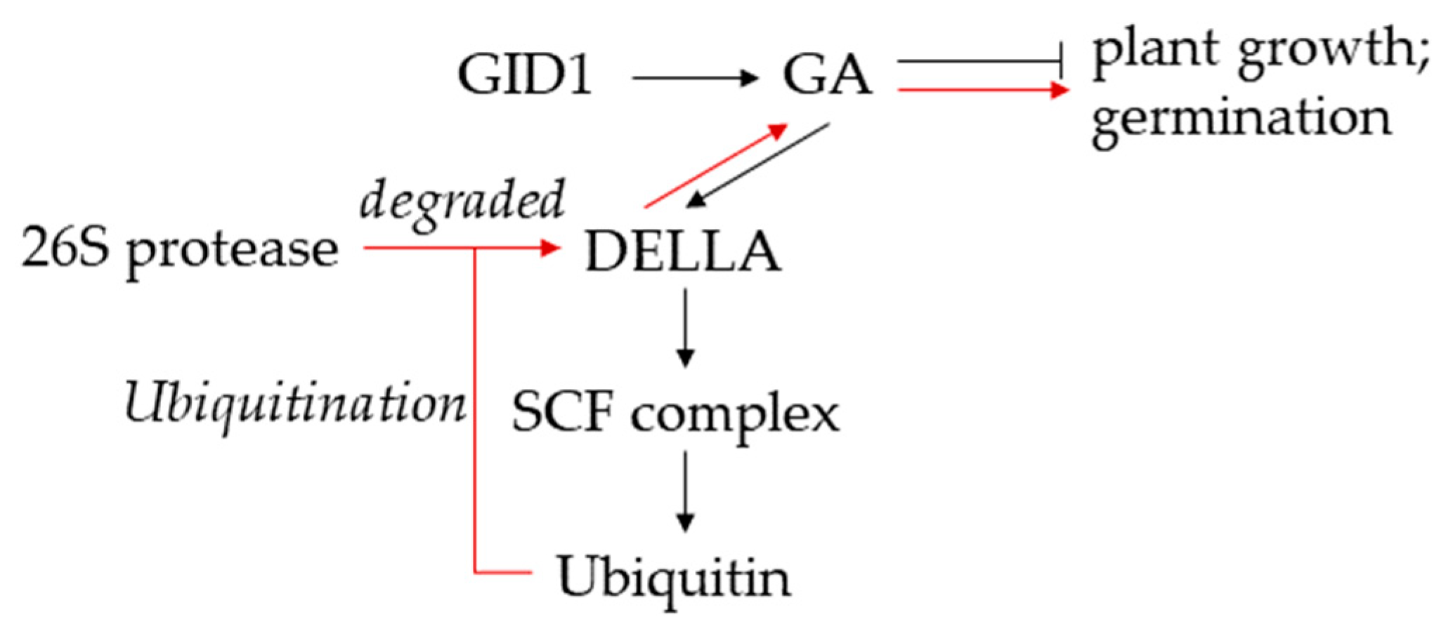 Agronomy 12 02454 g001