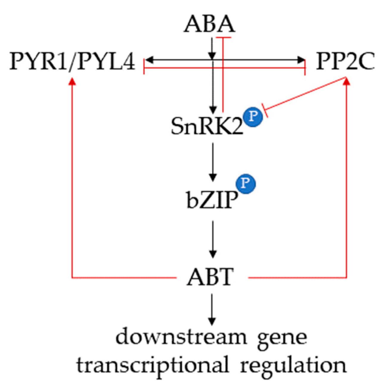 Agronomy 12 02454 g002