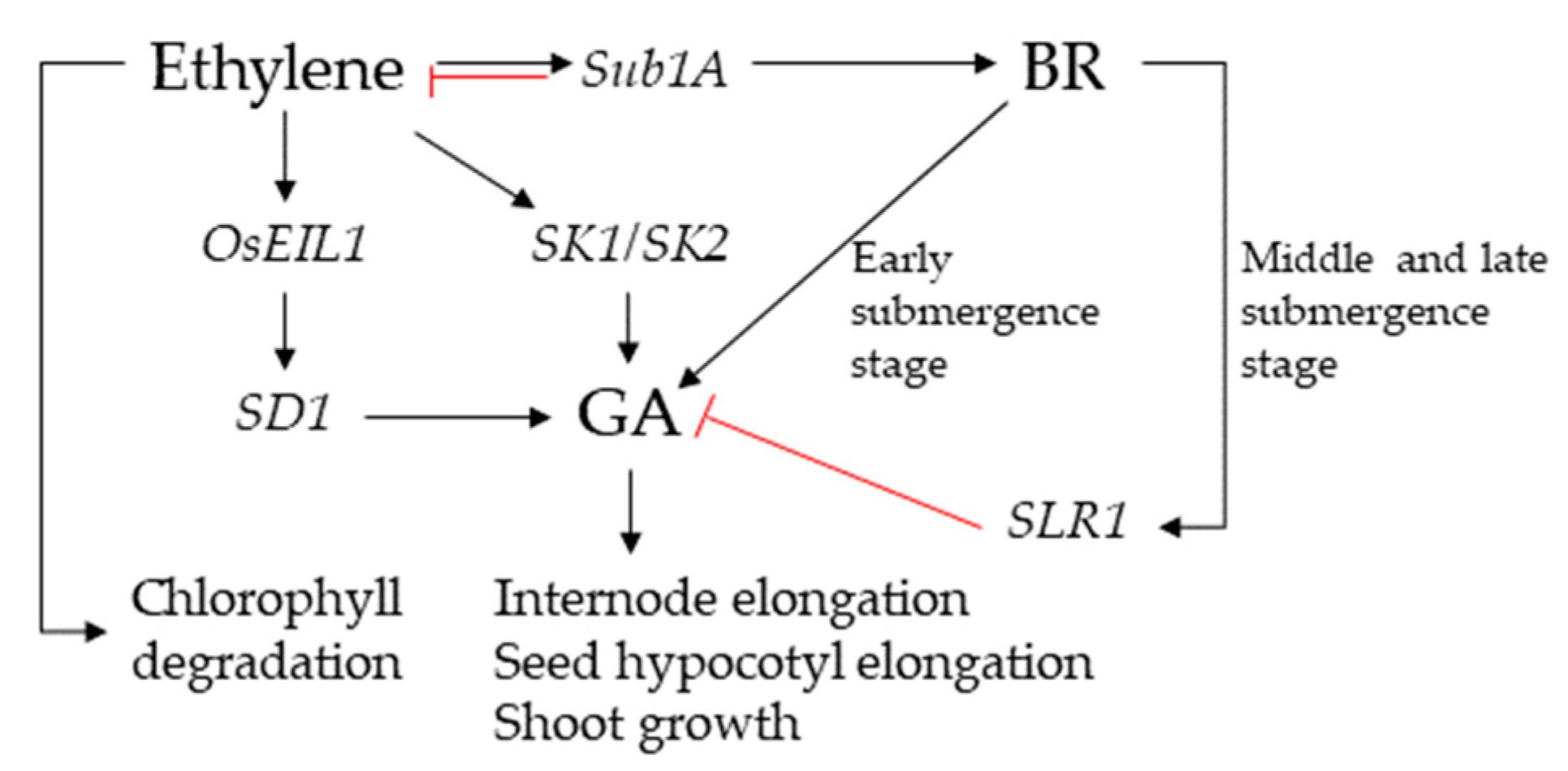 Agronomy 12 02454 g005