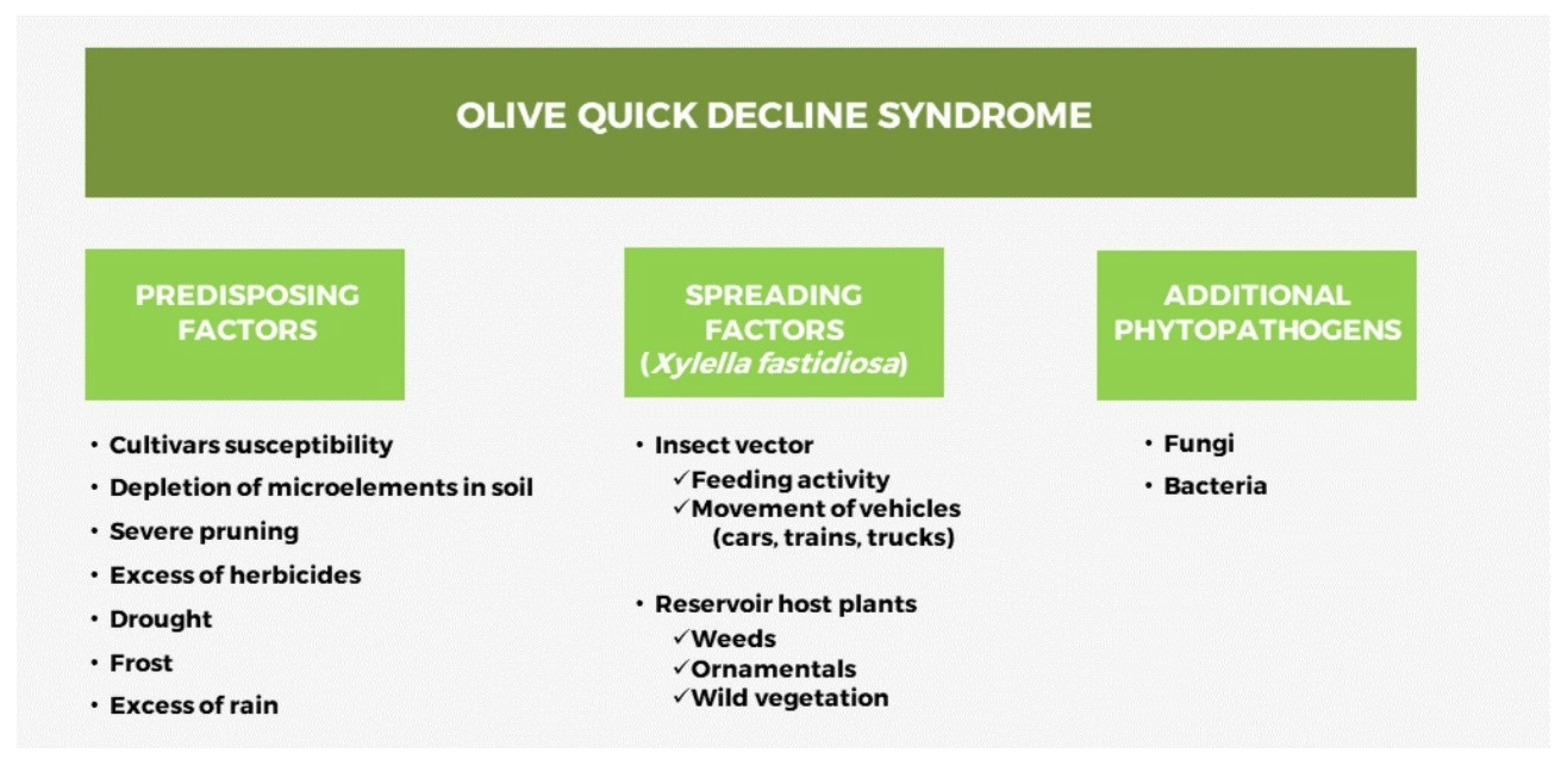 Agronomy 12 02475 g003