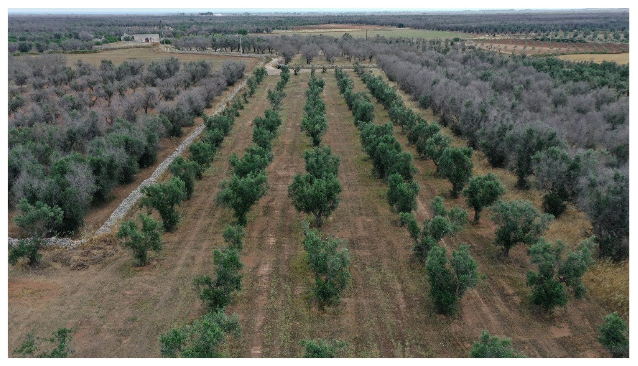 Agronomy 12 02475 g014