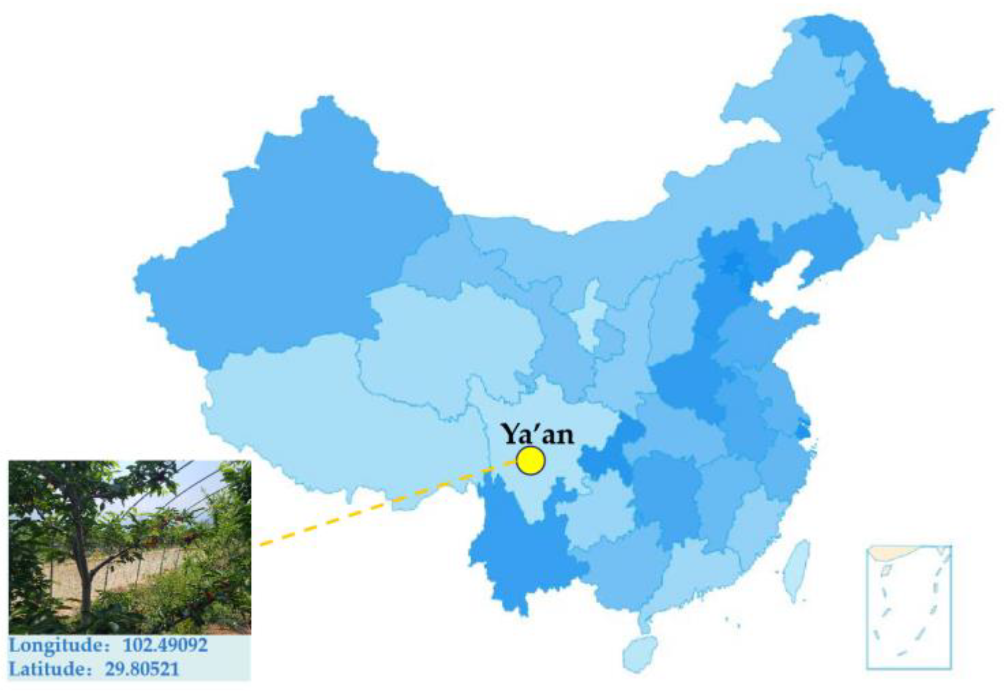 Agronomy 12 02482 g001