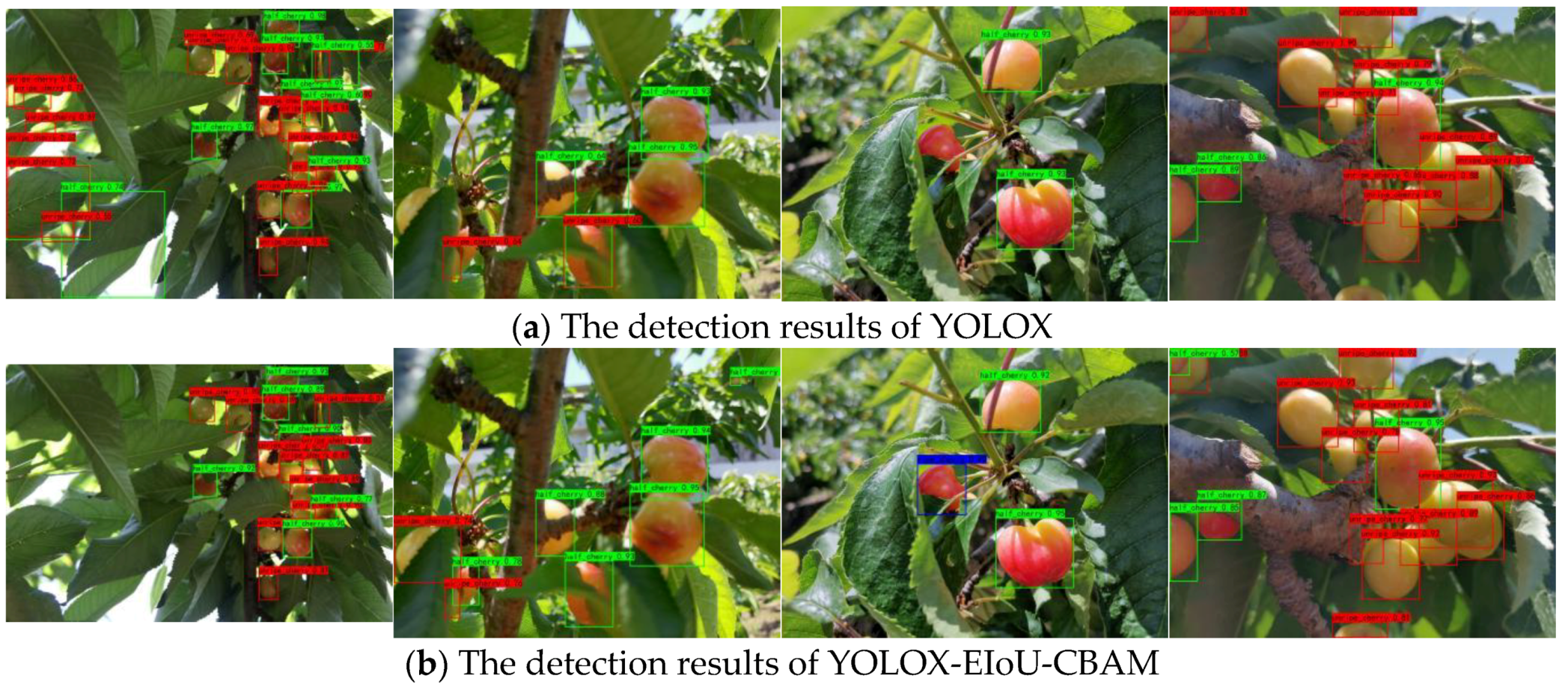 Agronomy 12 02482 g008