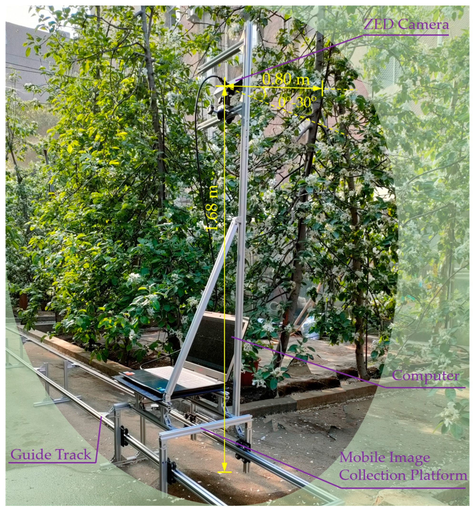 Agronomy 12 02483 g003