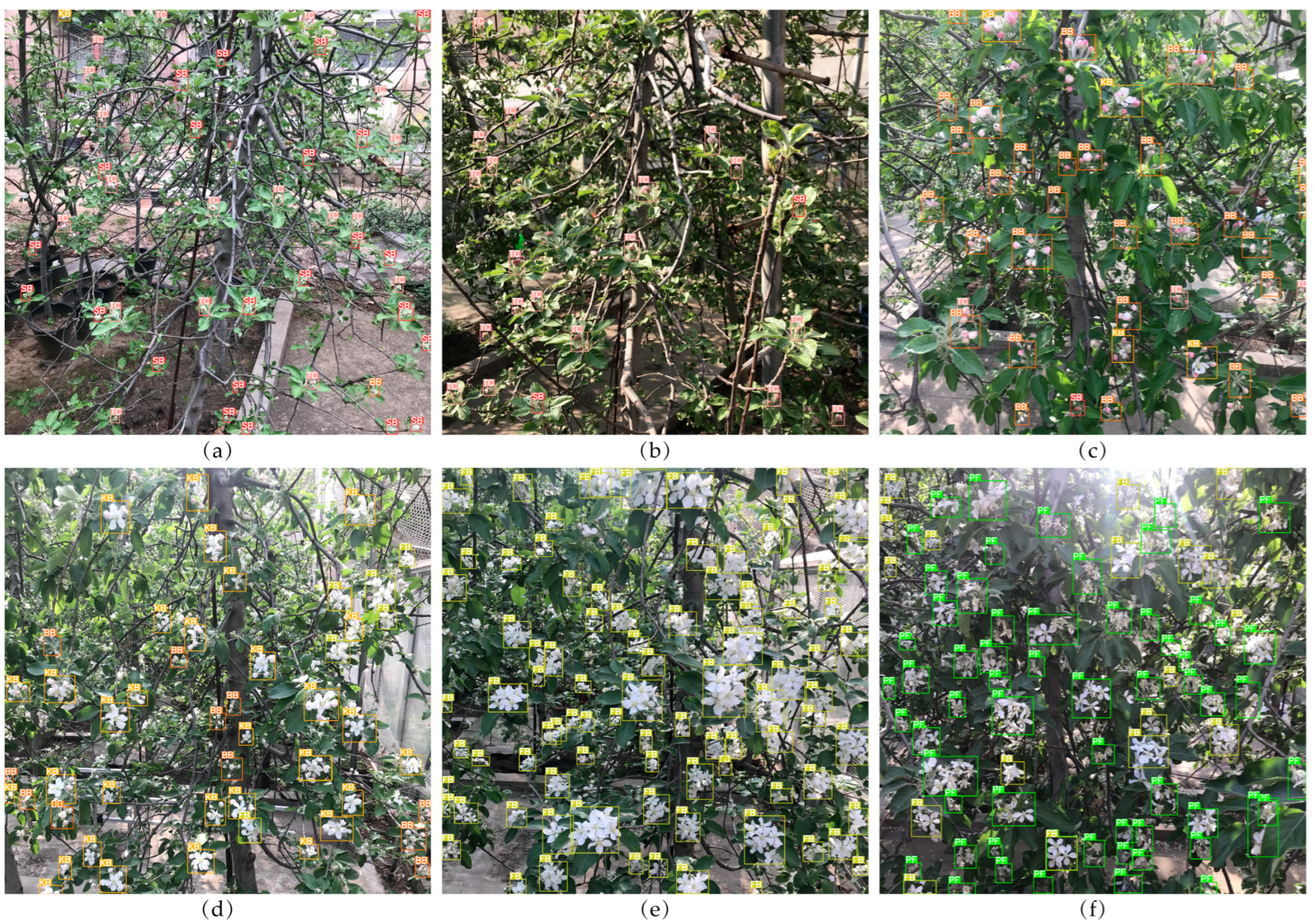 Agronomy 12 02483 g010