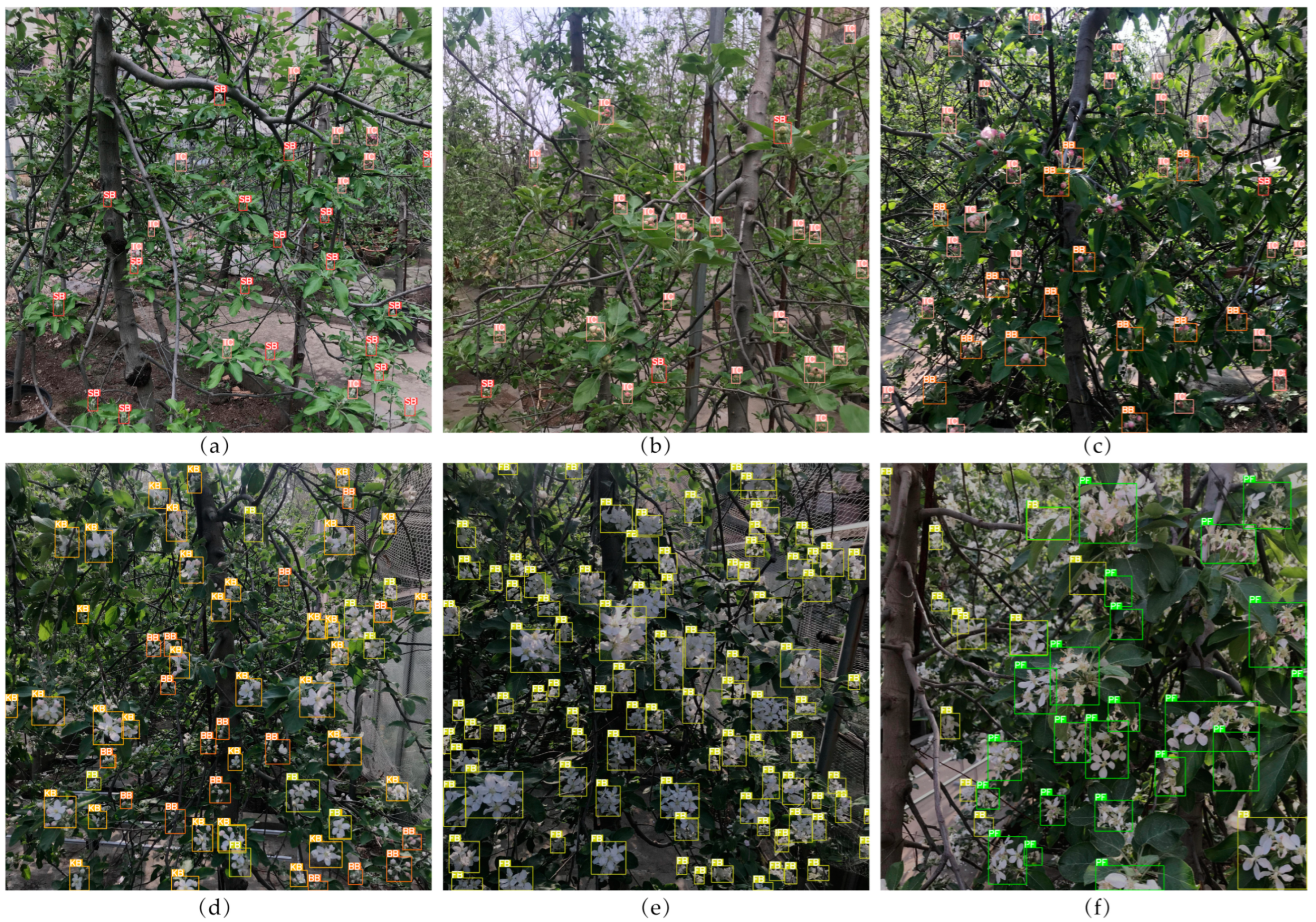 Agronomy 12 02483 g011