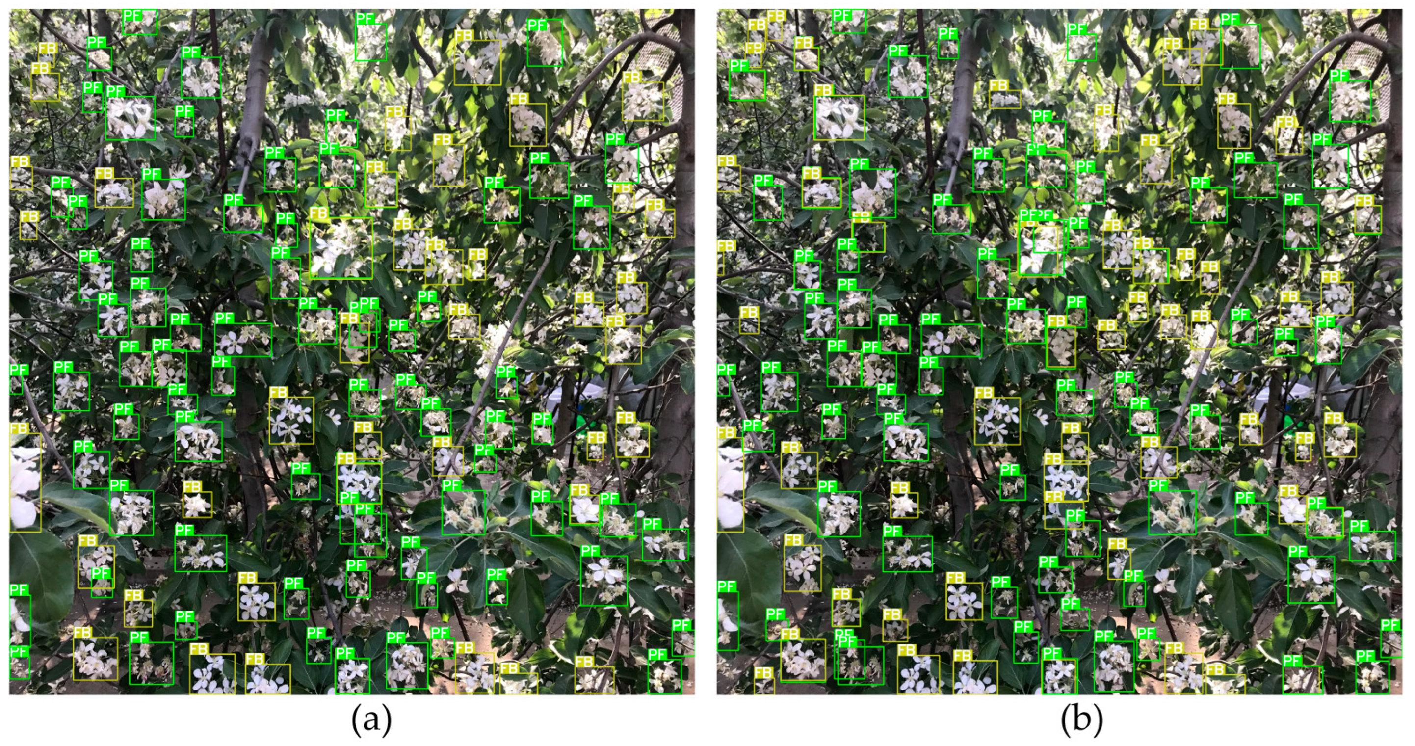 Agronomy 12 02483 g015