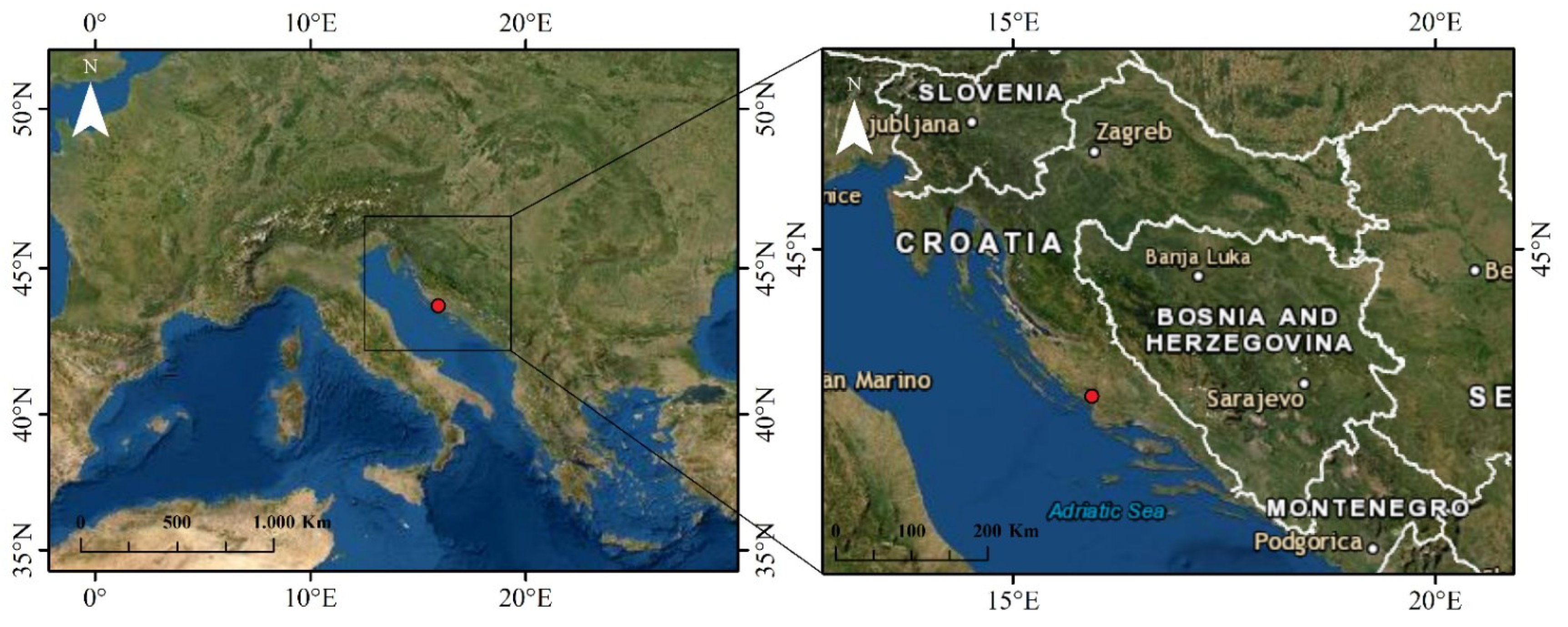 Agronomy 12 02484 g001