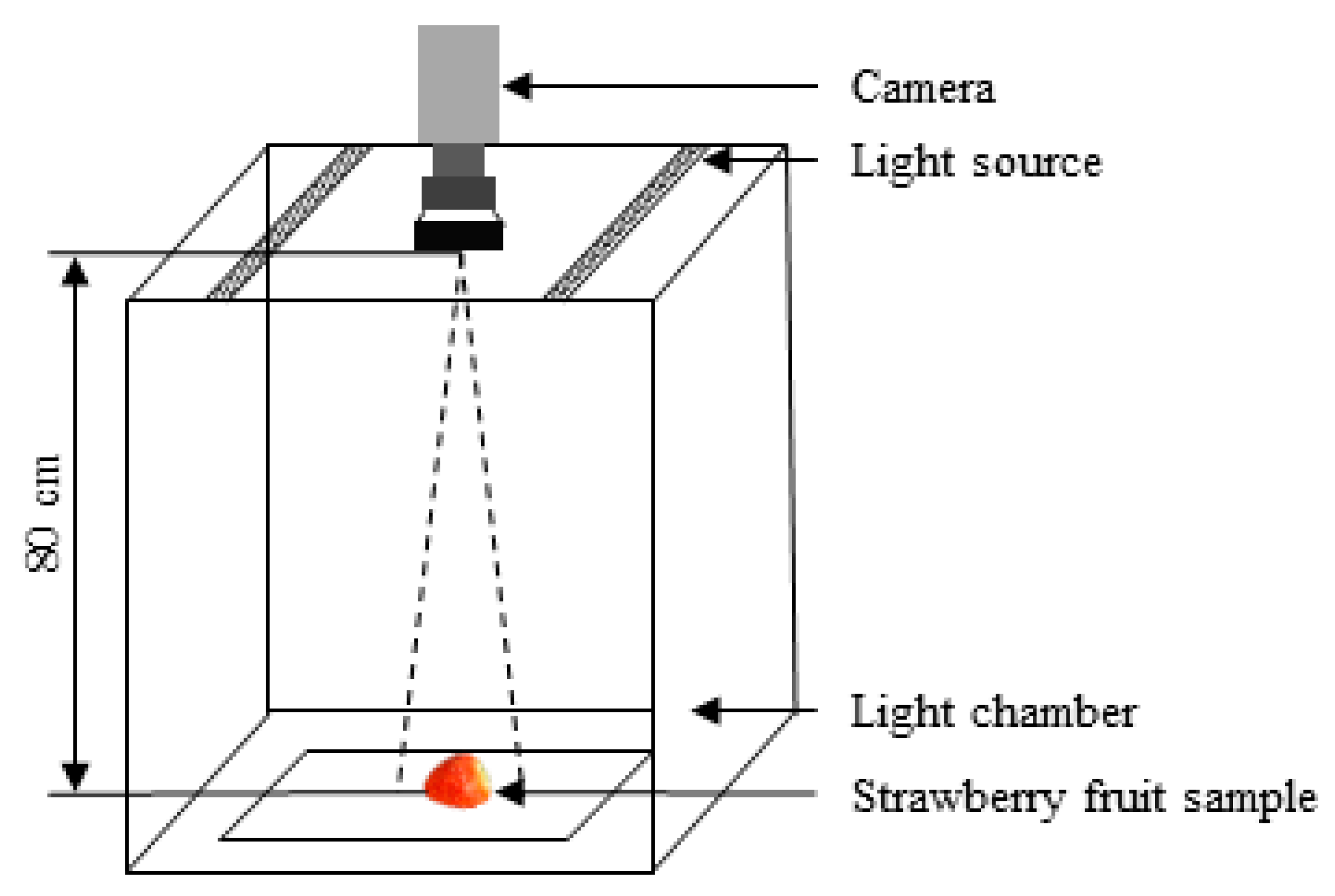 Agronomy 12 02487 g002