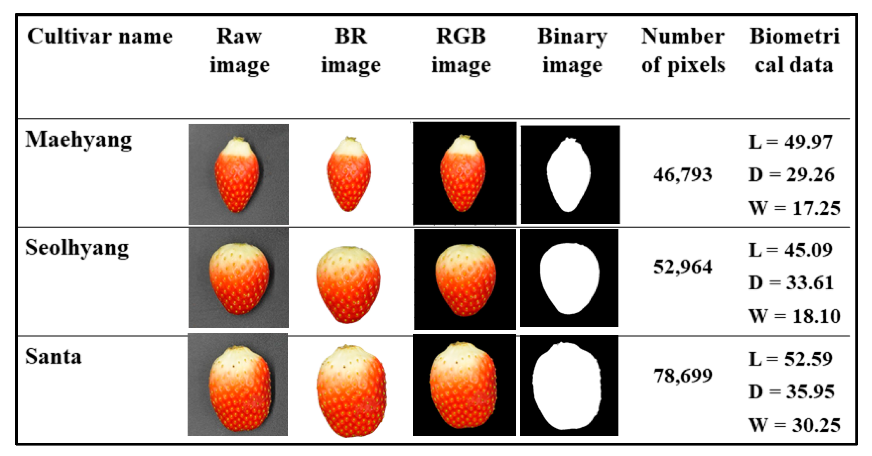 Agronomy 12 02487 g003