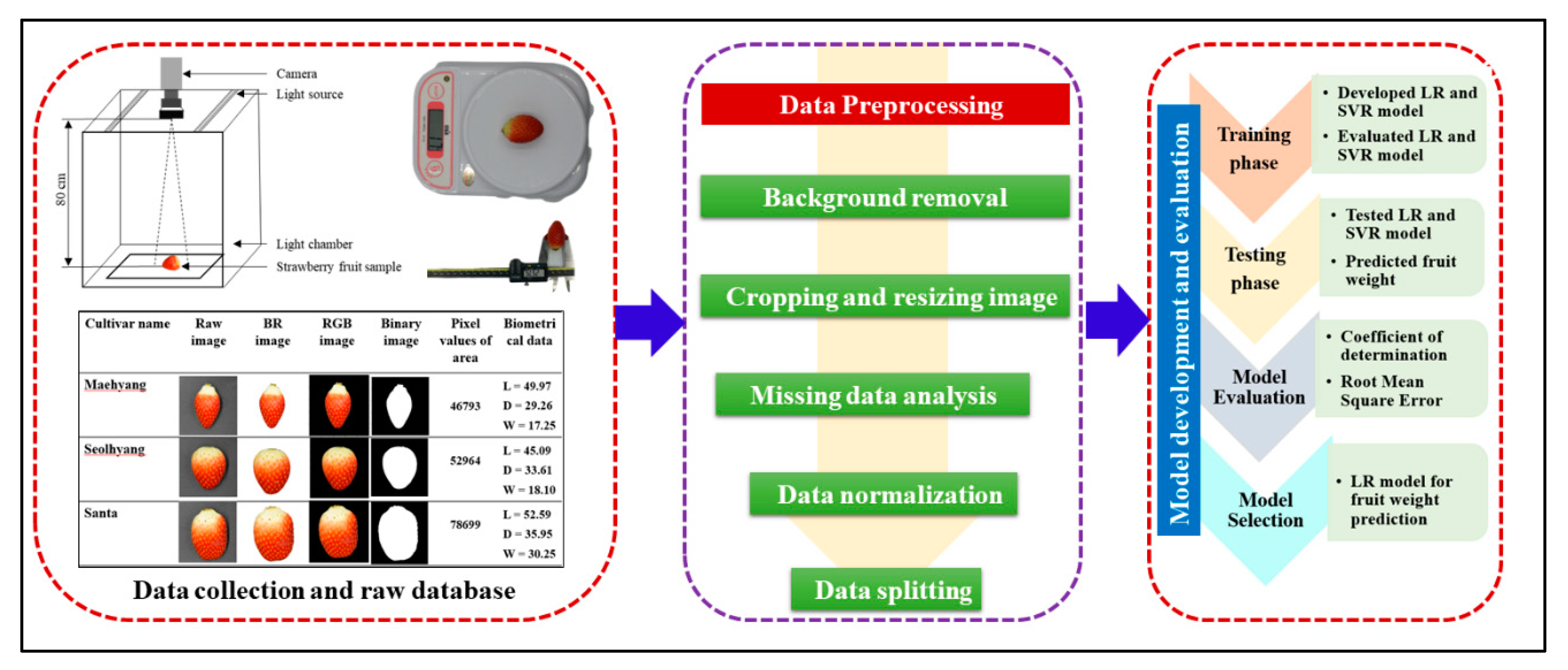 Agronomy 12 02487 g005