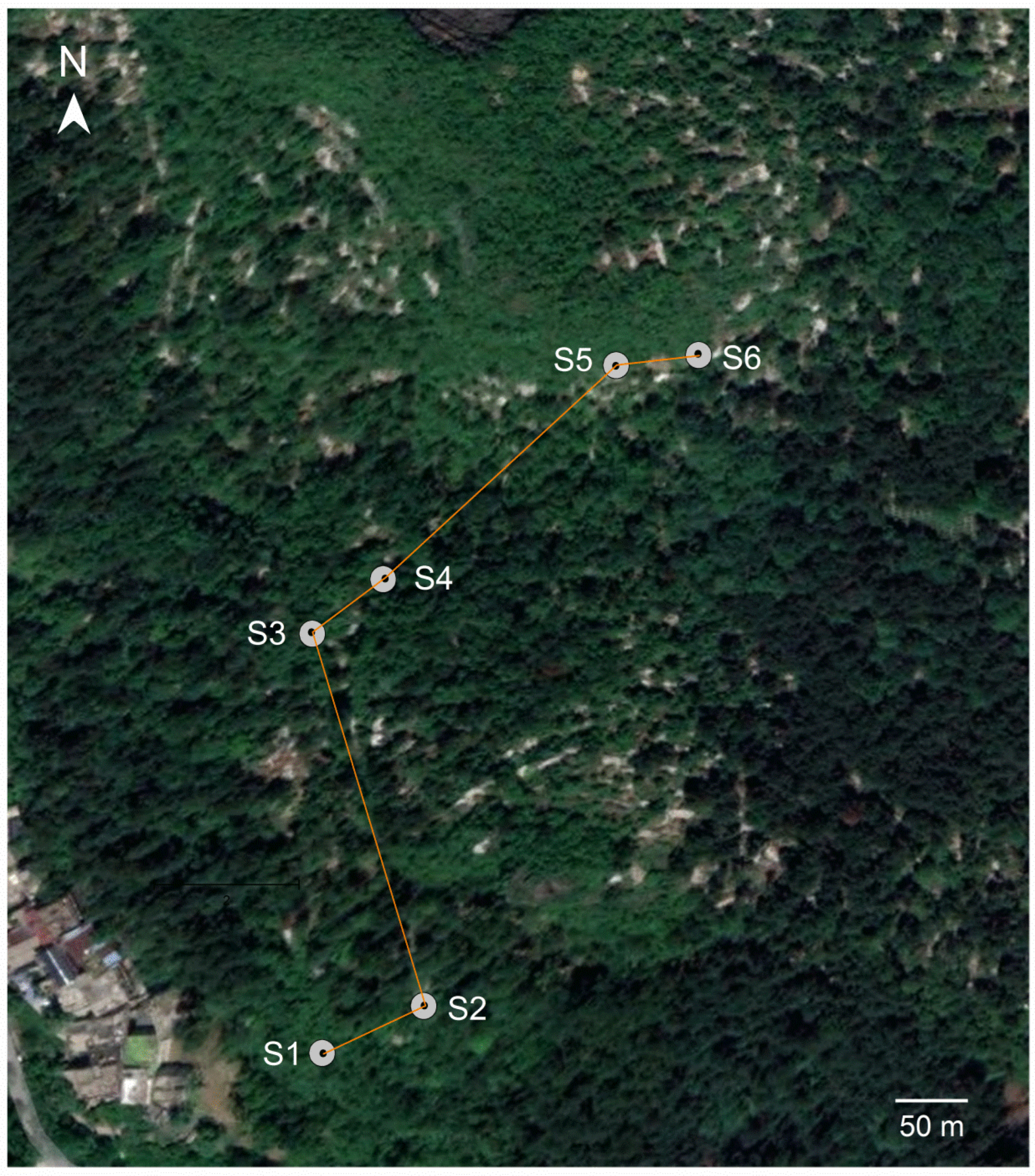 Agronomy 12 02489 g001