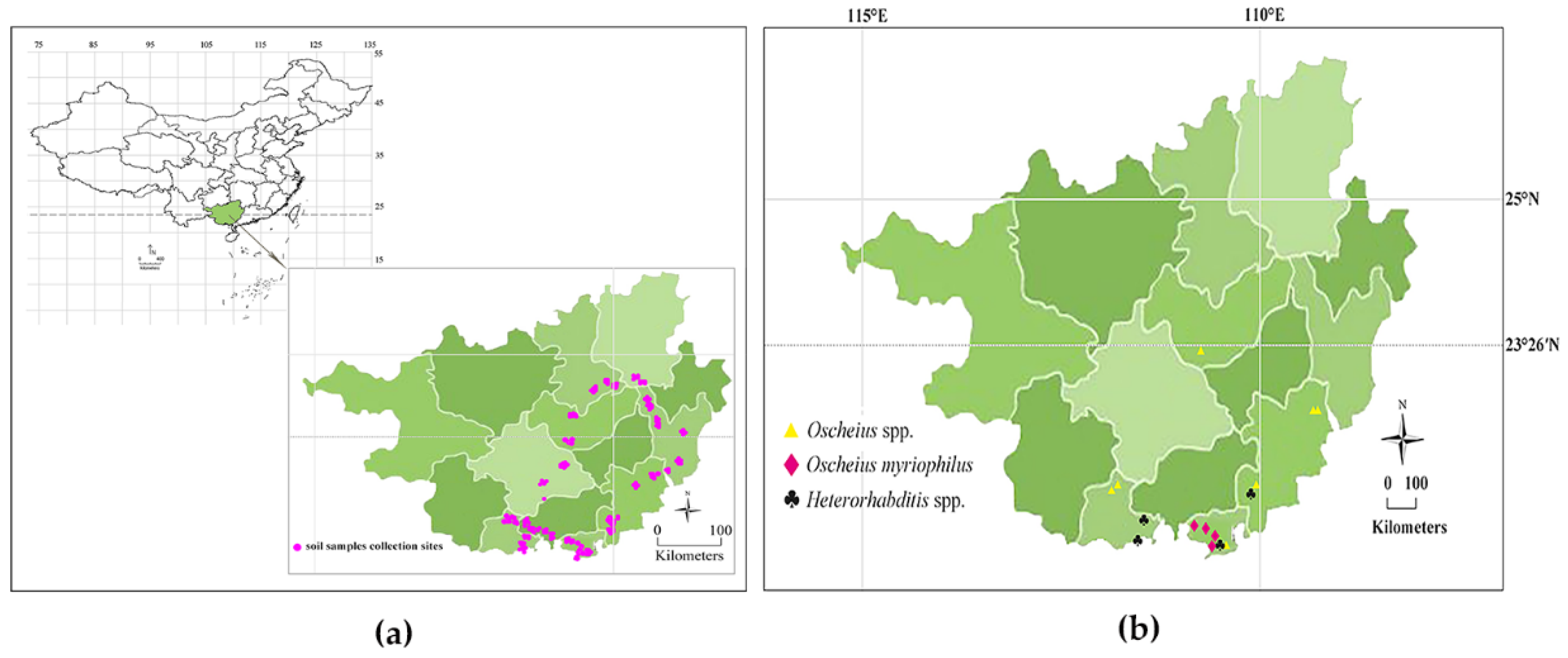 Agronomy 12 02536 g001