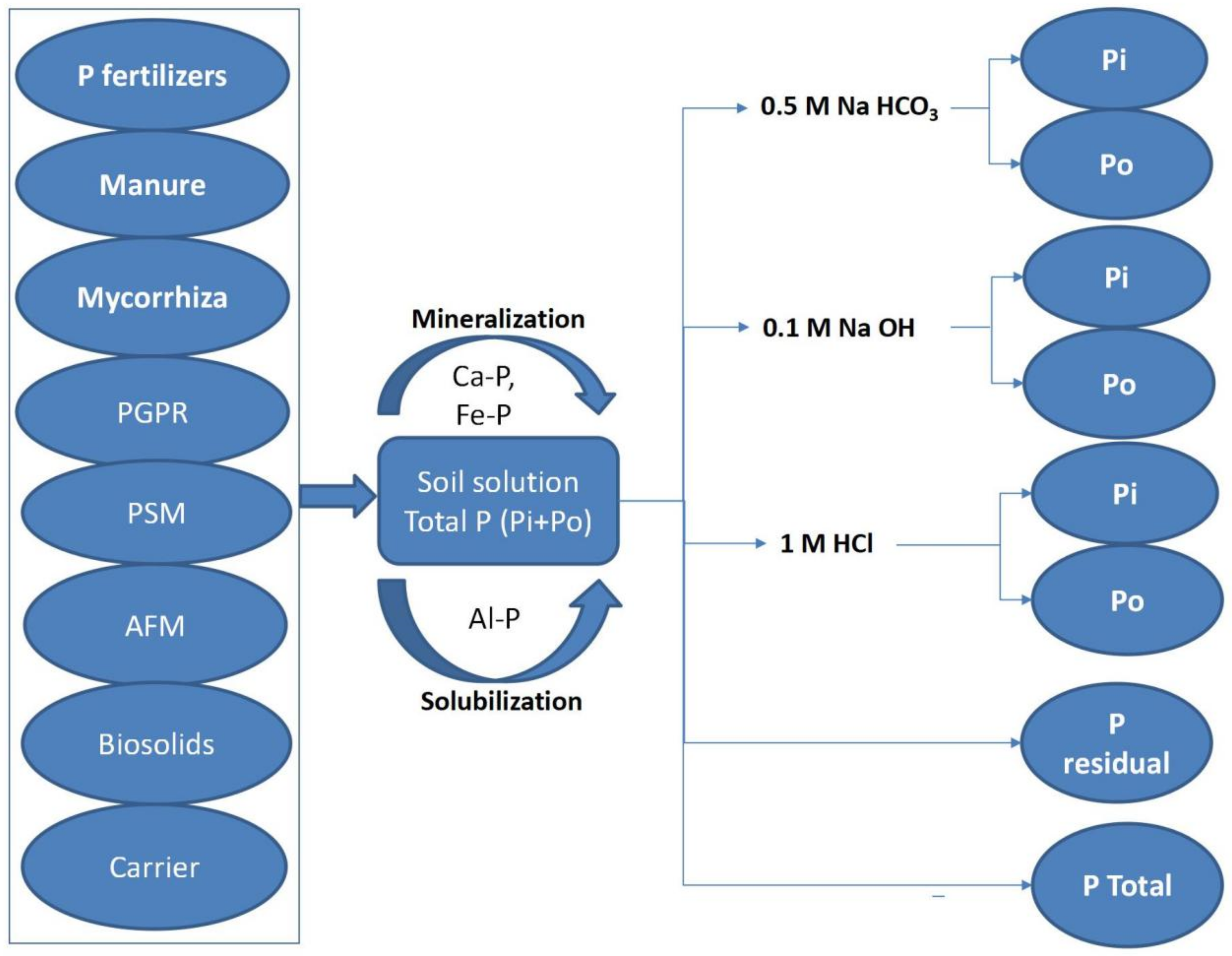 Agronomy 12 02539 g002 Agronomy 12 02539 g002