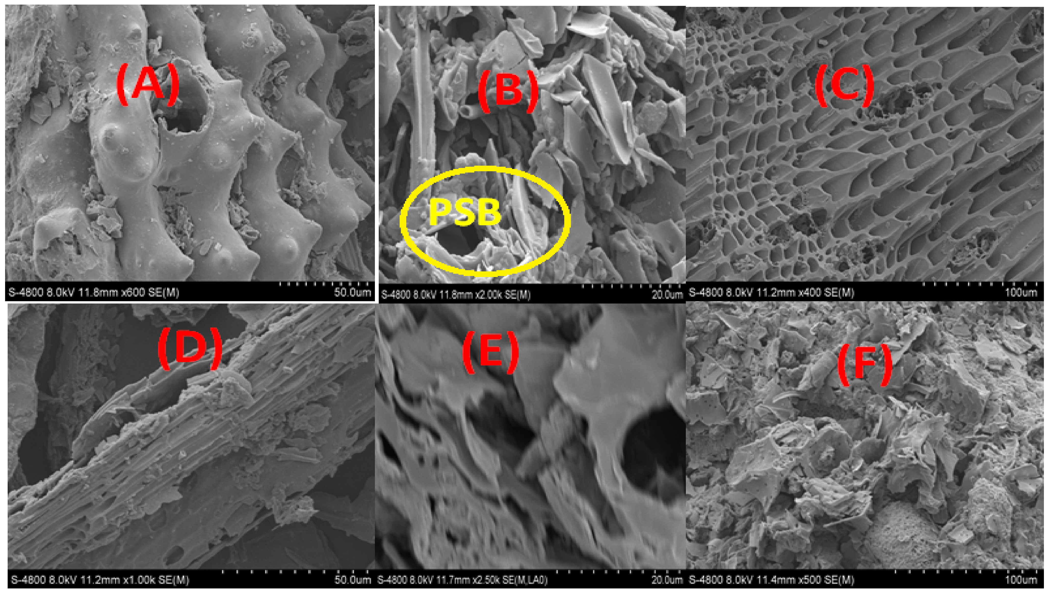Agronomy 12 02539 g003 Agronomy 12 02539 g003