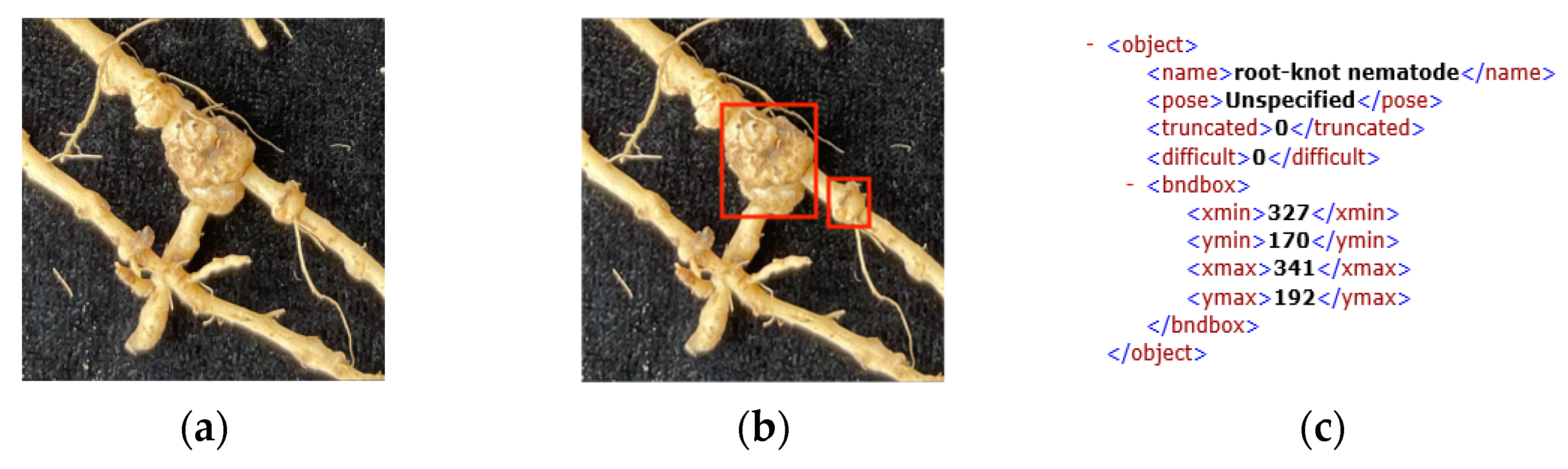 Agronomy 12 02555 g002