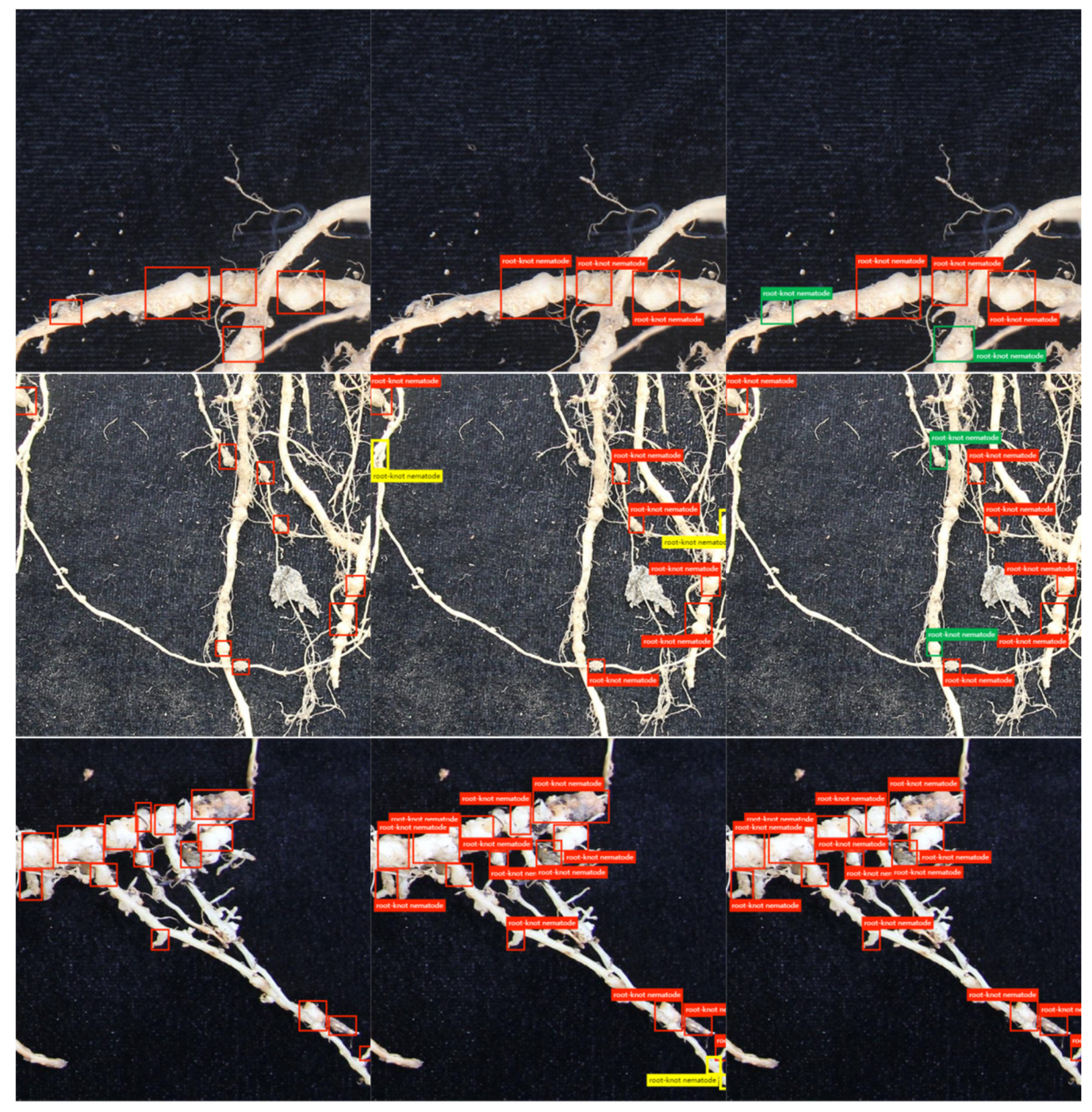 Agronomy 12 02555 g010b