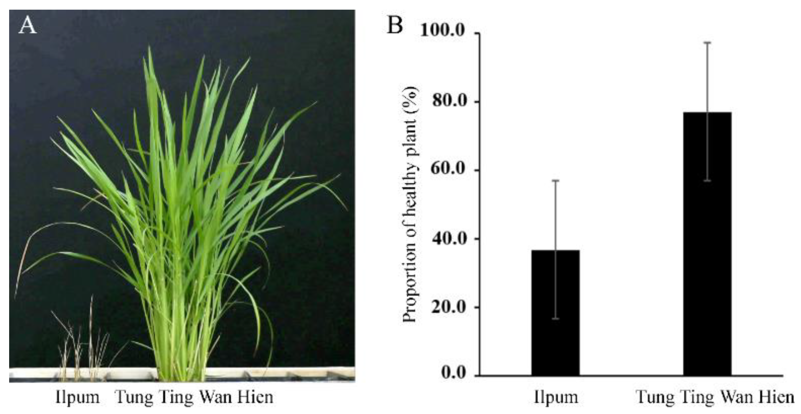 Agronomy 12 02567 g001