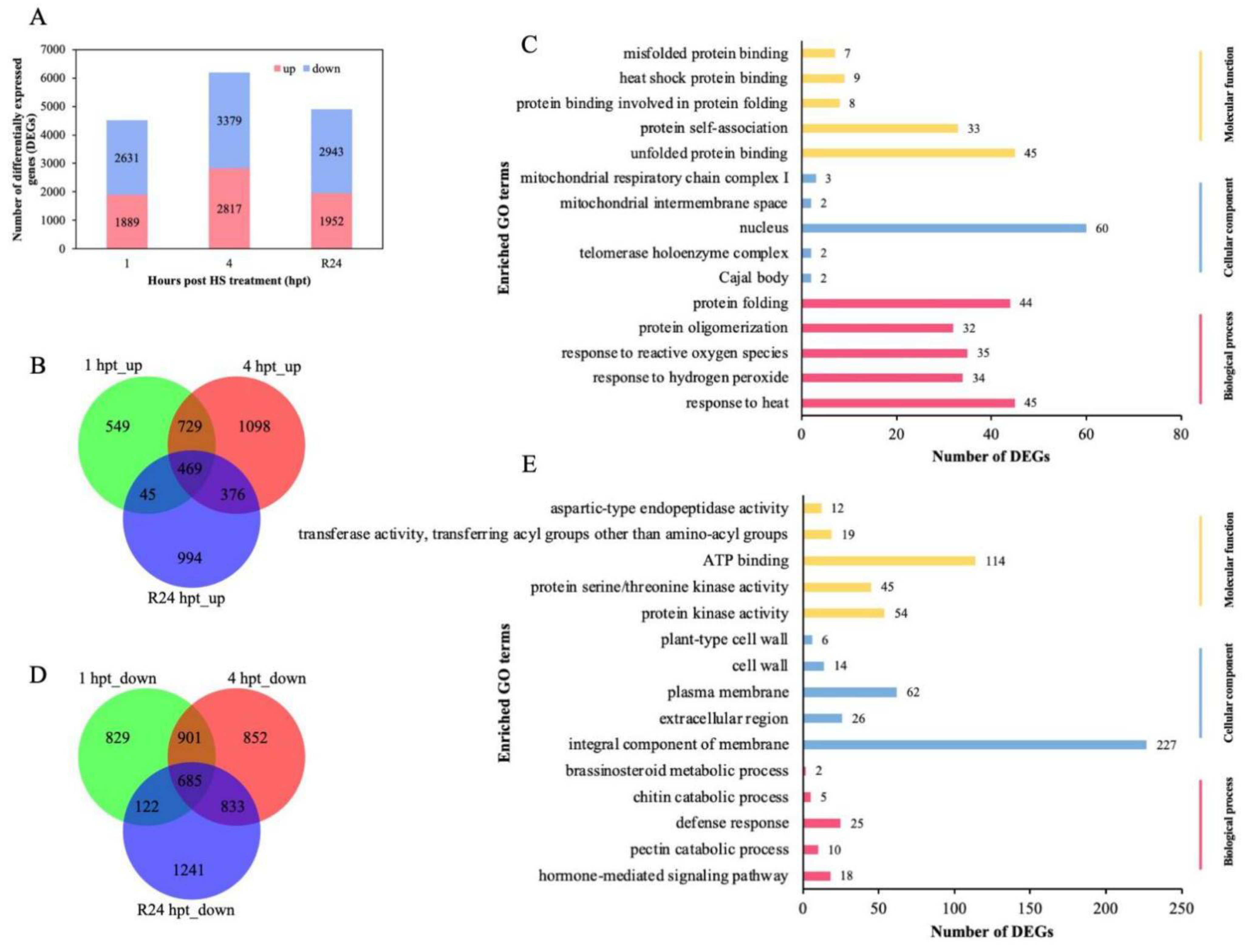 Agronomy 12 02591 g001