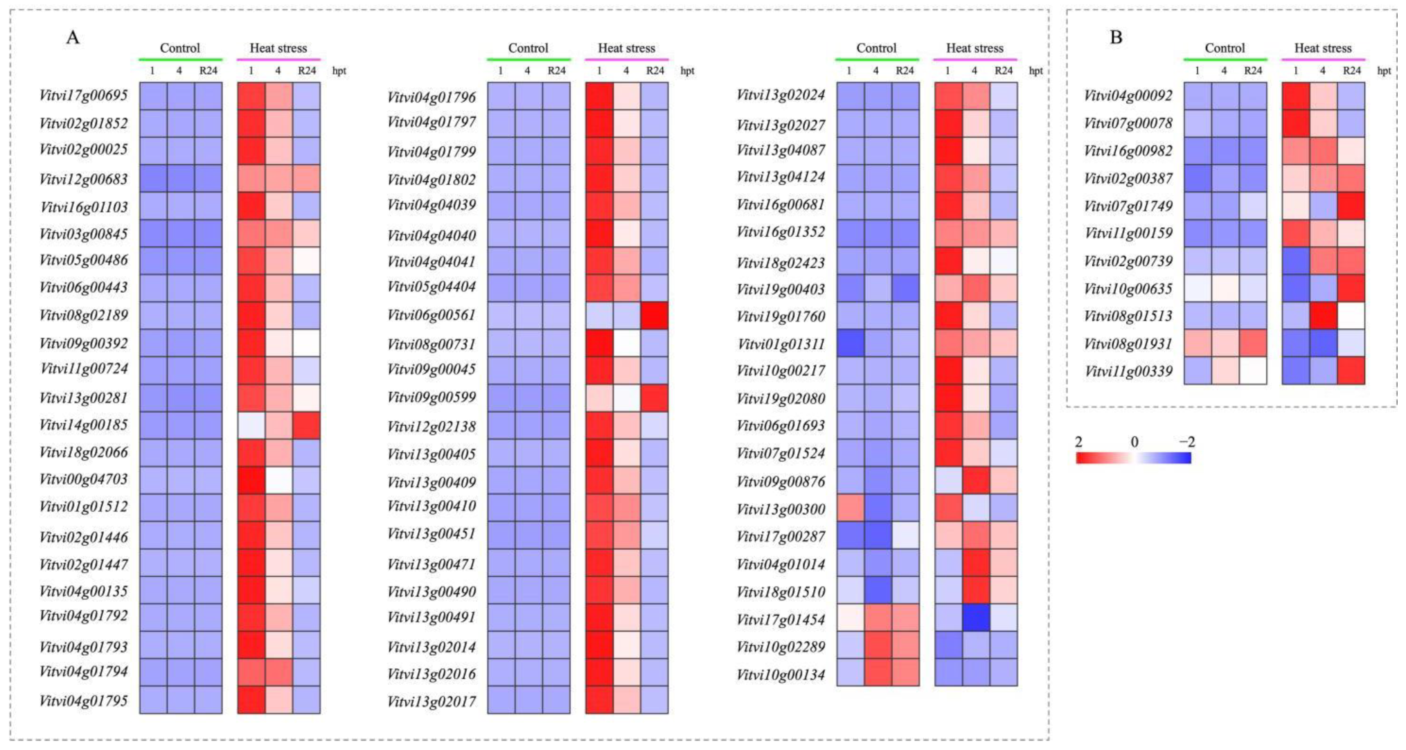 Agronomy 12 02591 g007