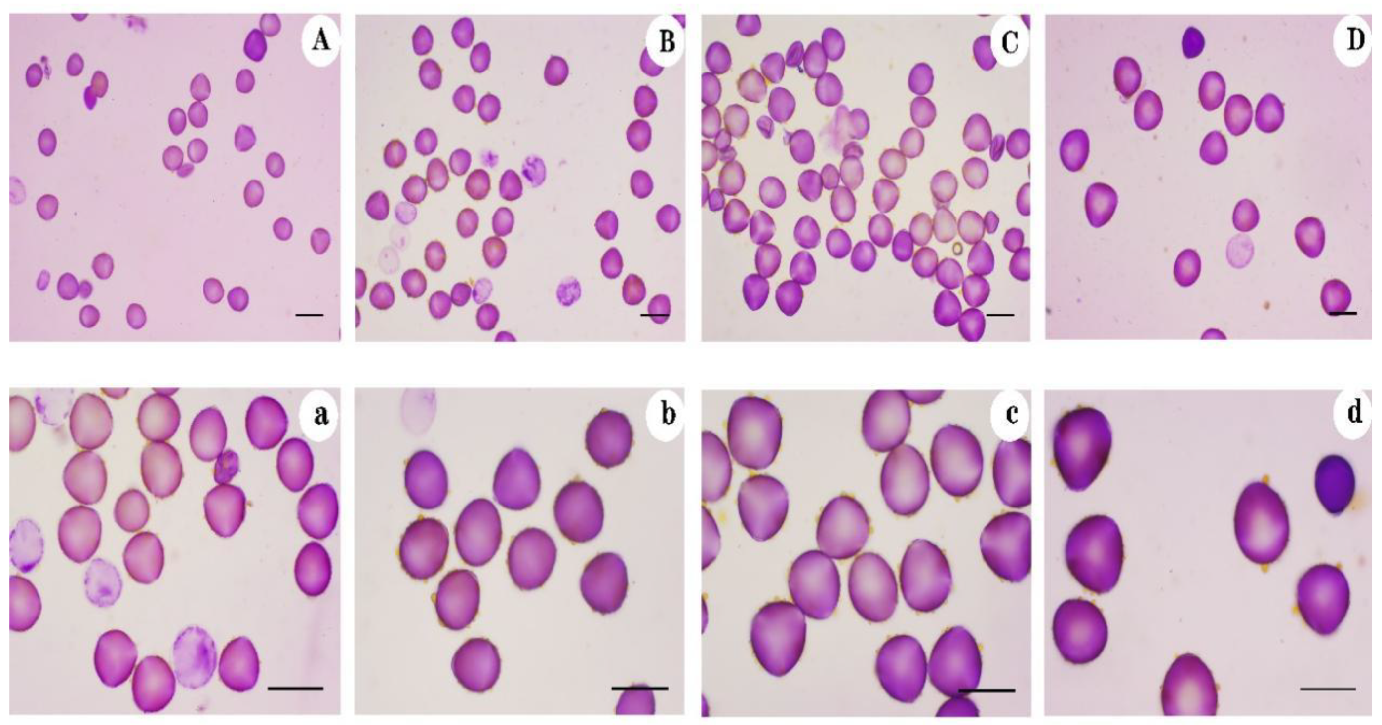 Agronomy 12 02592 g001 Agronomy 12 02592 g001