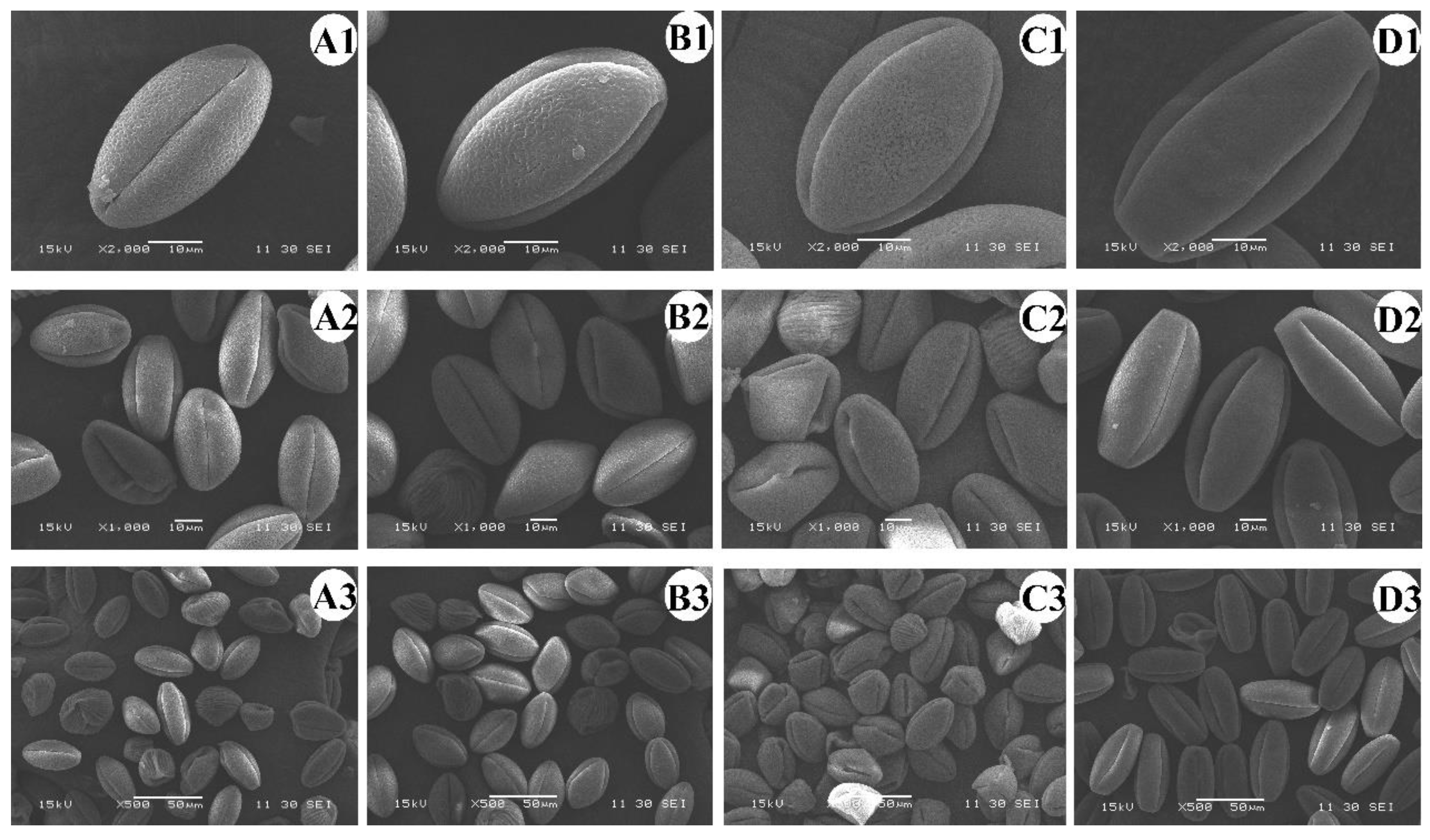 Agronomy 12 02592 g002 Agronomy 12 02592 g002