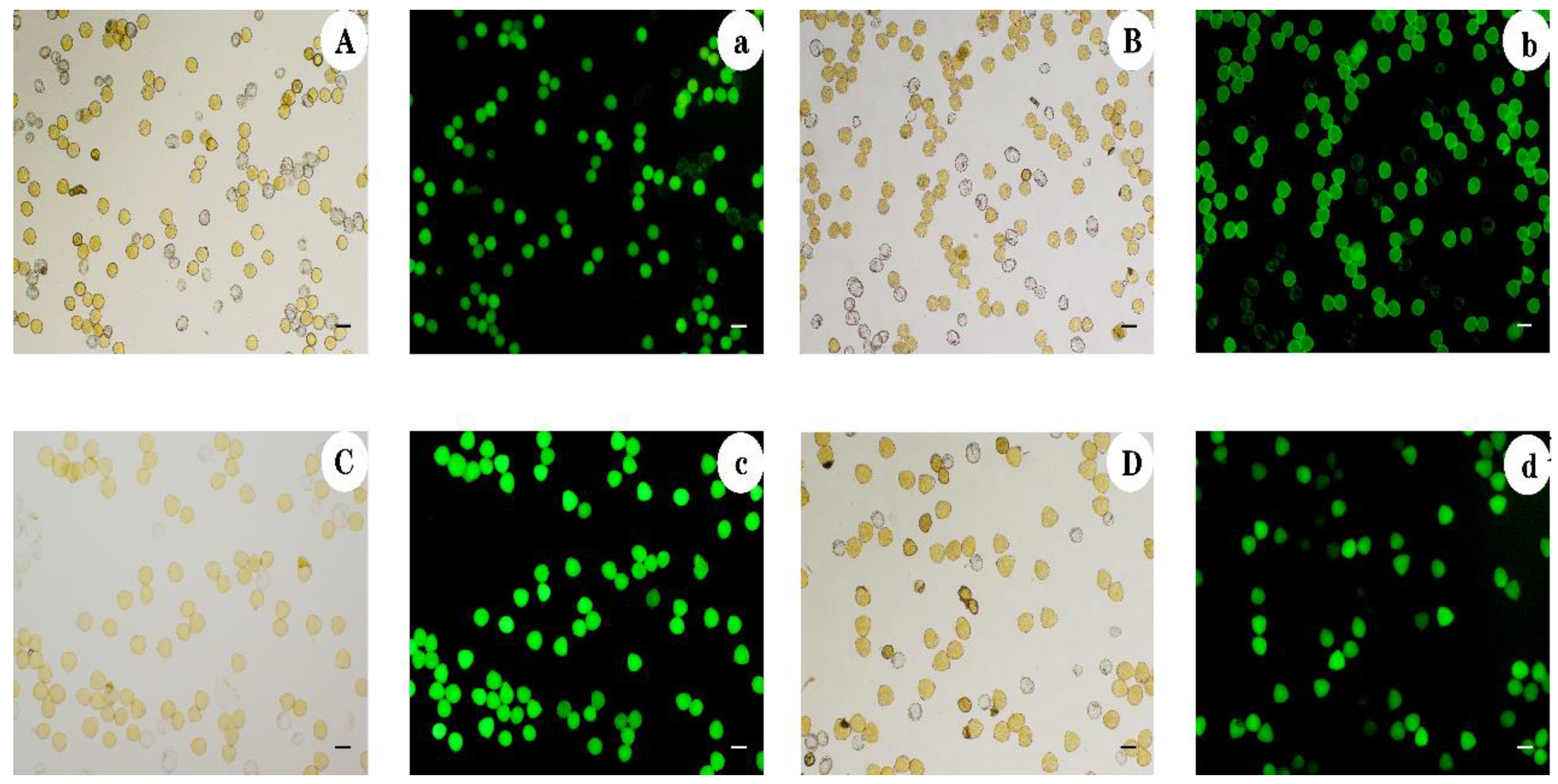 Agronomy 12 02592 g003 Agronomy 12 02592 g003