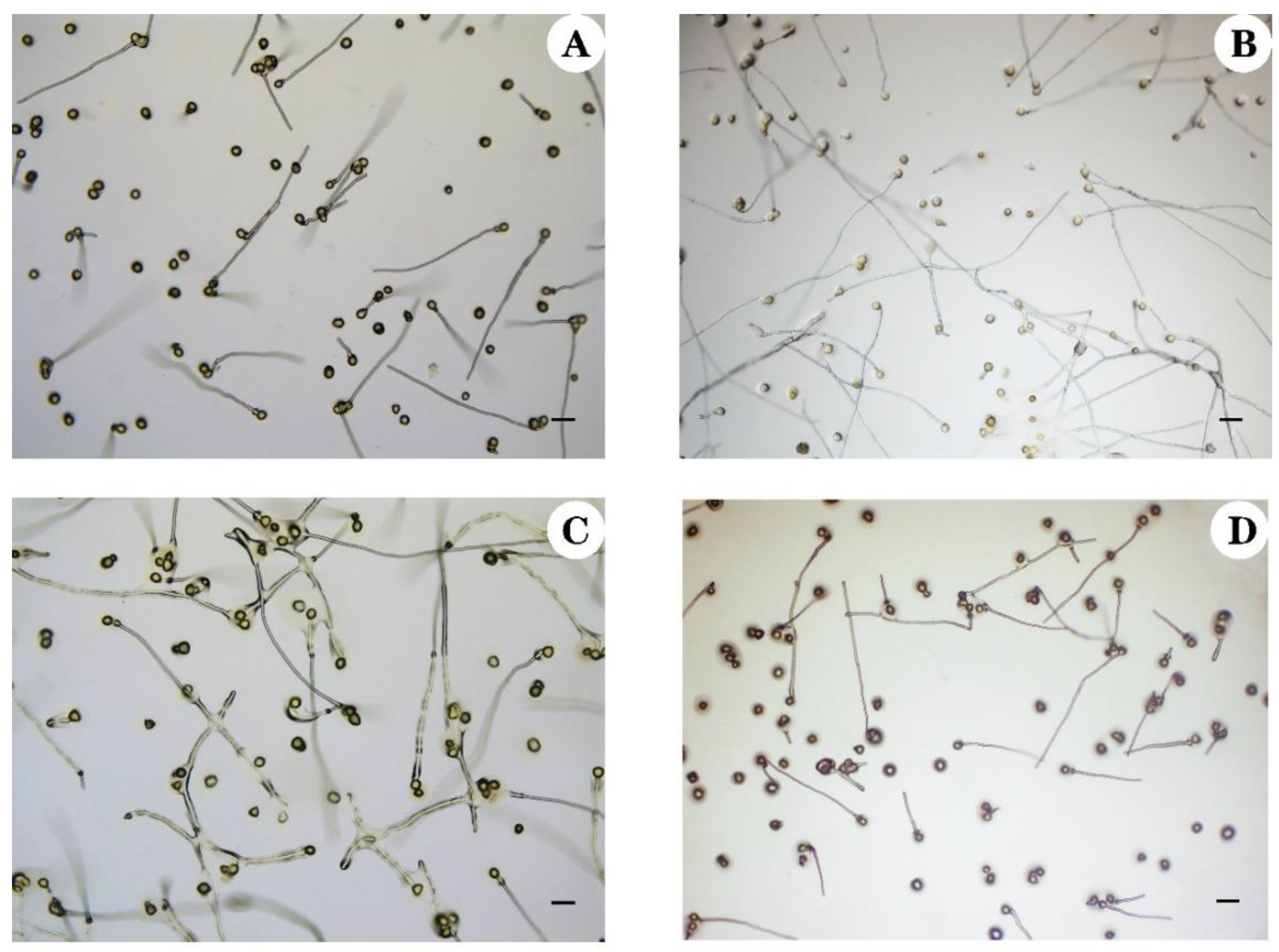 Agronomy 12 02592 g004 Agronomy 12 02592 g004