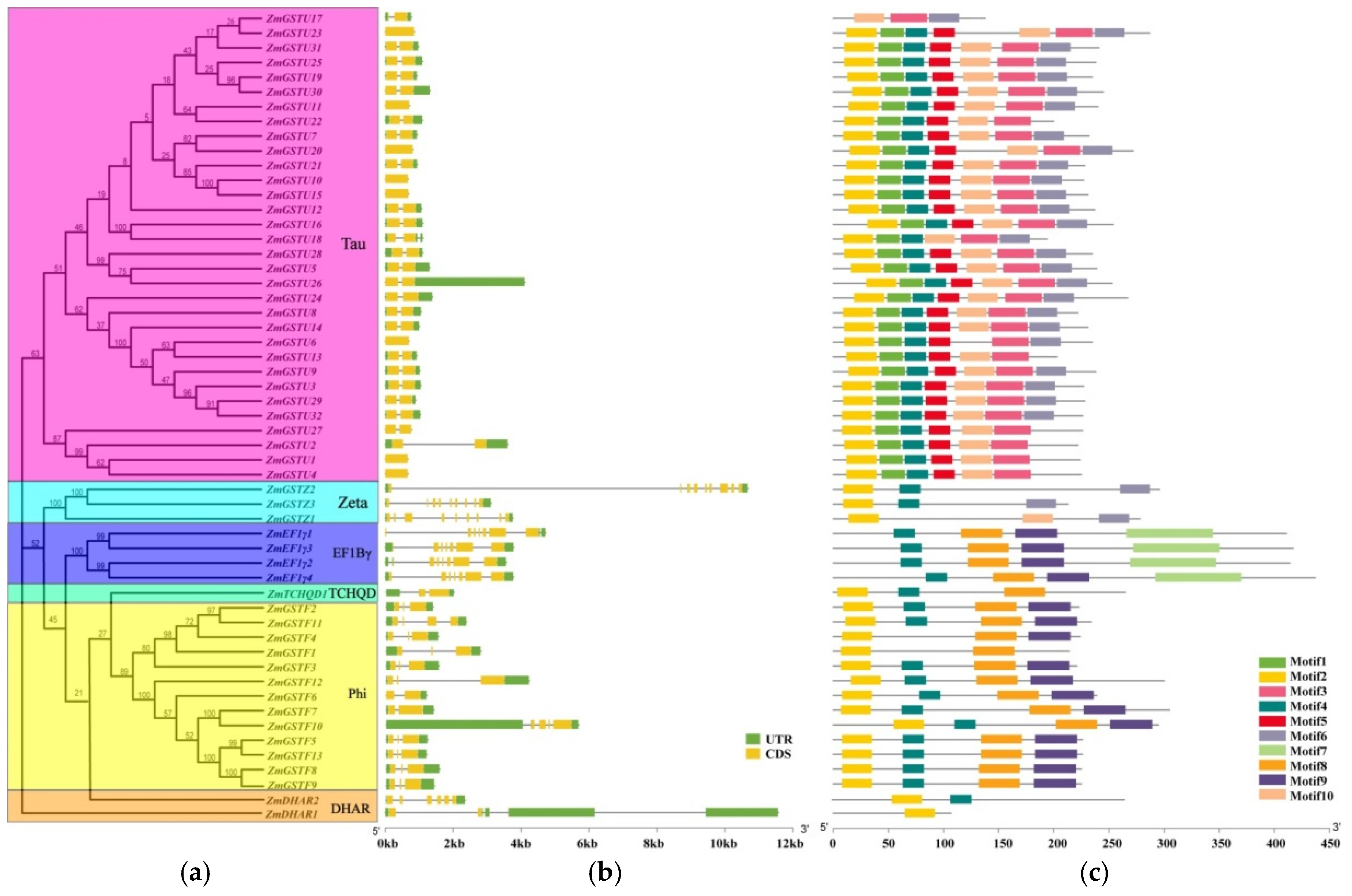 Agronomy 12 02598 g002