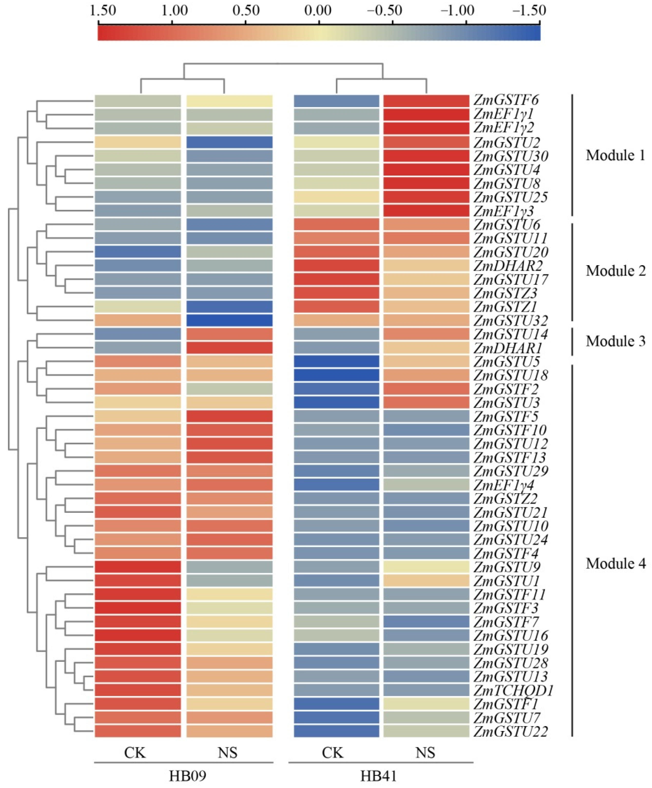 Agronomy 12 02598 g005