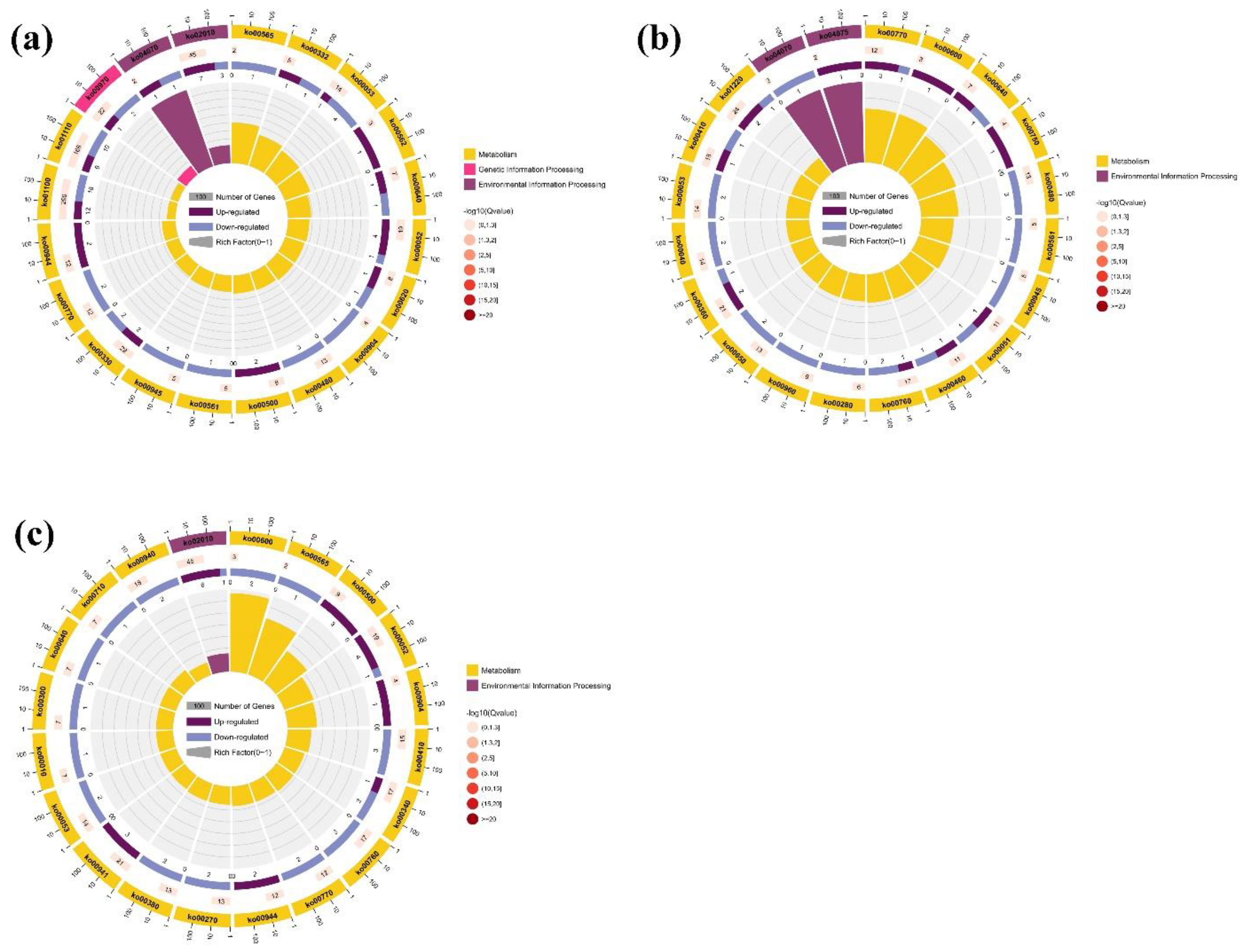 Agronomy 12 02628 g008