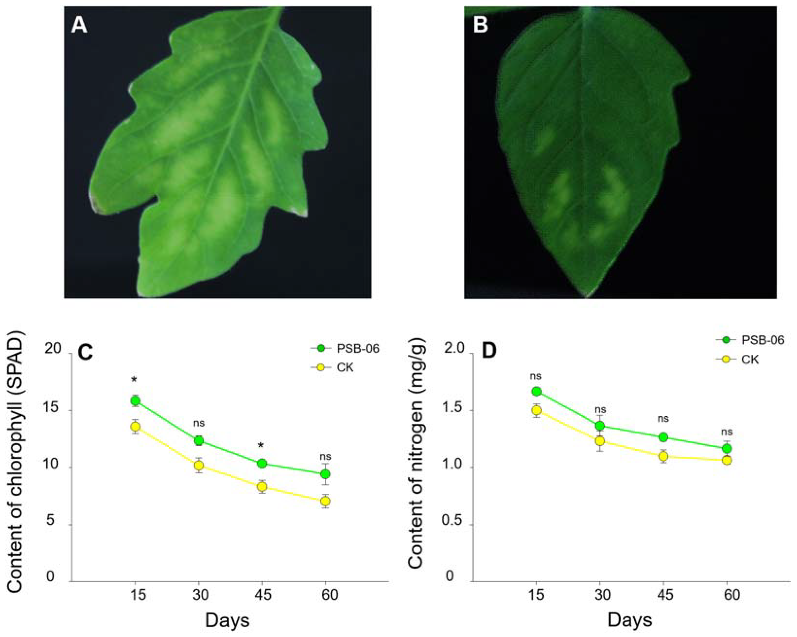Agronomy 12 02631 g003