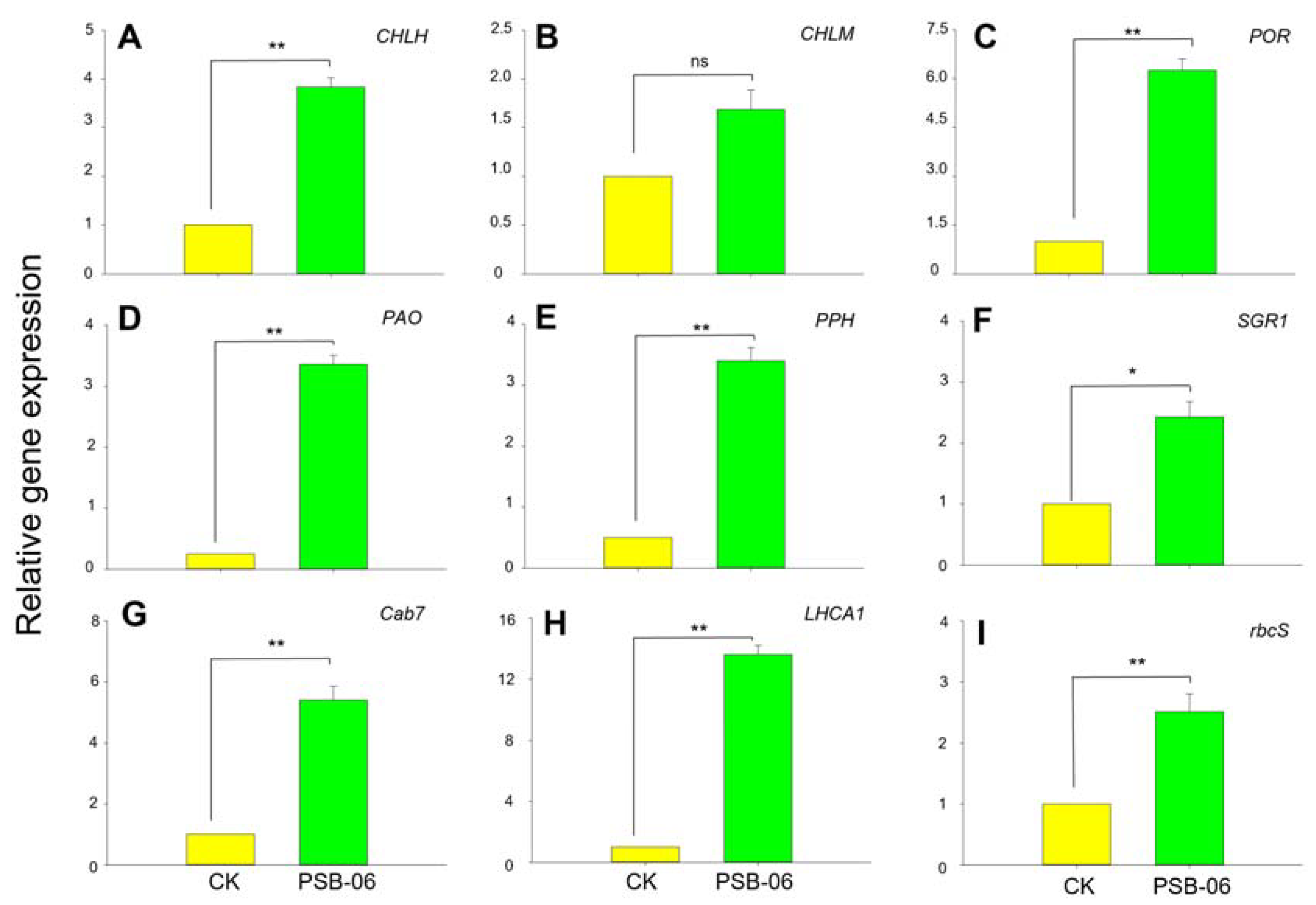 Agronomy 12 02631 g004