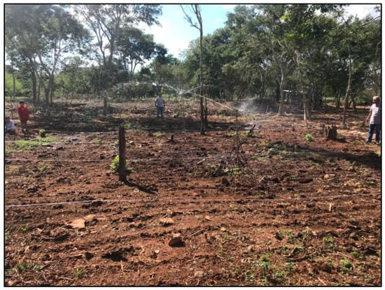 Agronomy 12 02634 g0a10