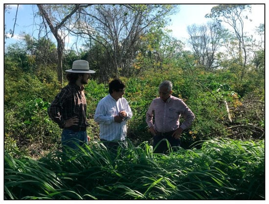 Agronomy 12 02634 g0a14