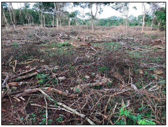 Agronomy 12 02634 g0a3