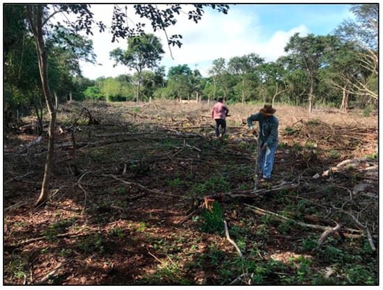 Agronomy 12 02634 g0a4