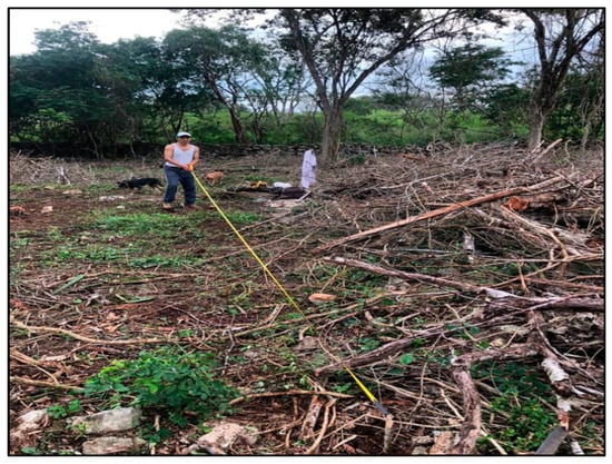 Agronomy 12 02634 g0a5