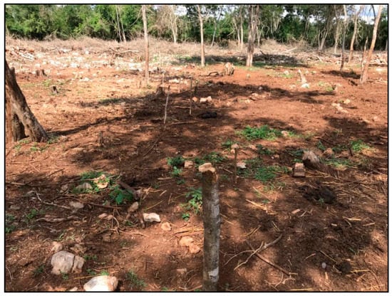 Agronomy 12 02634 g0a6