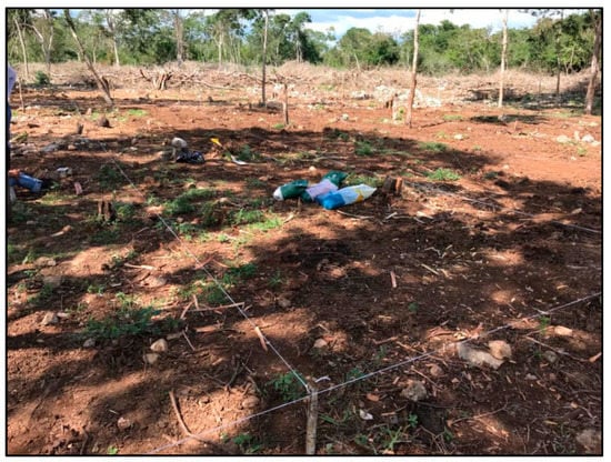 Agronomy 12 02634 g0a7a