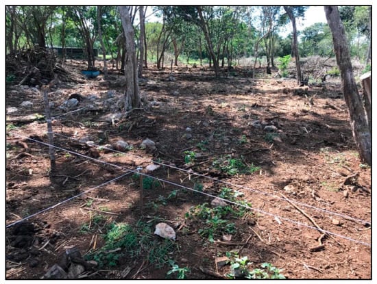 Agronomy 12 02634 g0a7b