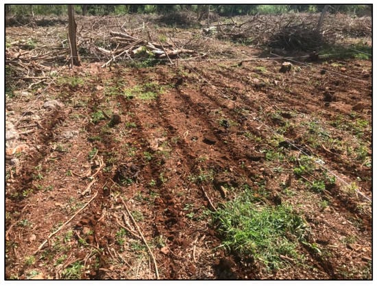 Agronomy 12 02634 g0a8