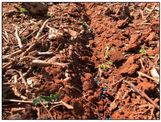 Agronomy 12 02634 g0a9