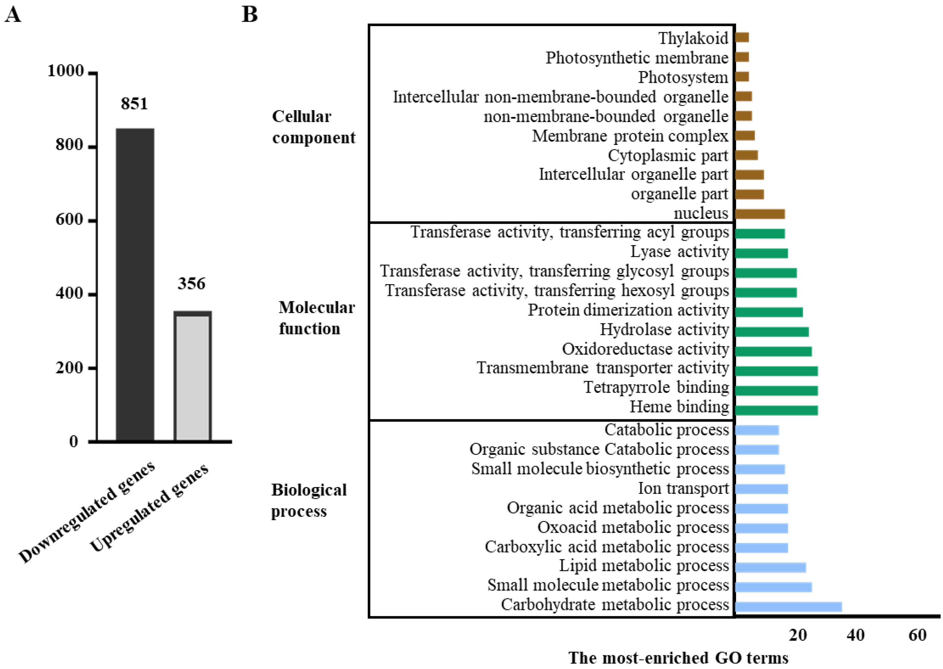 Agronomy 12 02647 g003