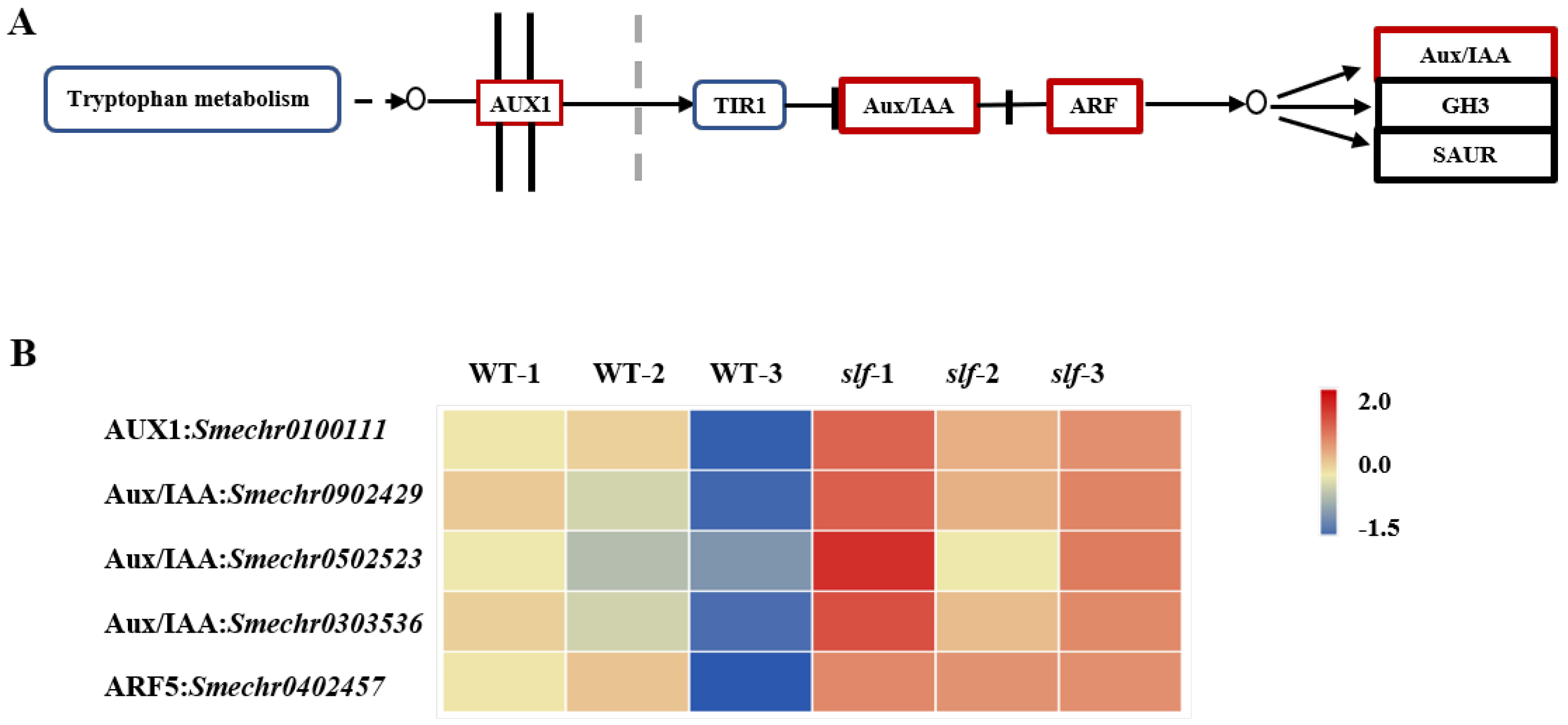 Agronomy 12 02647 g005