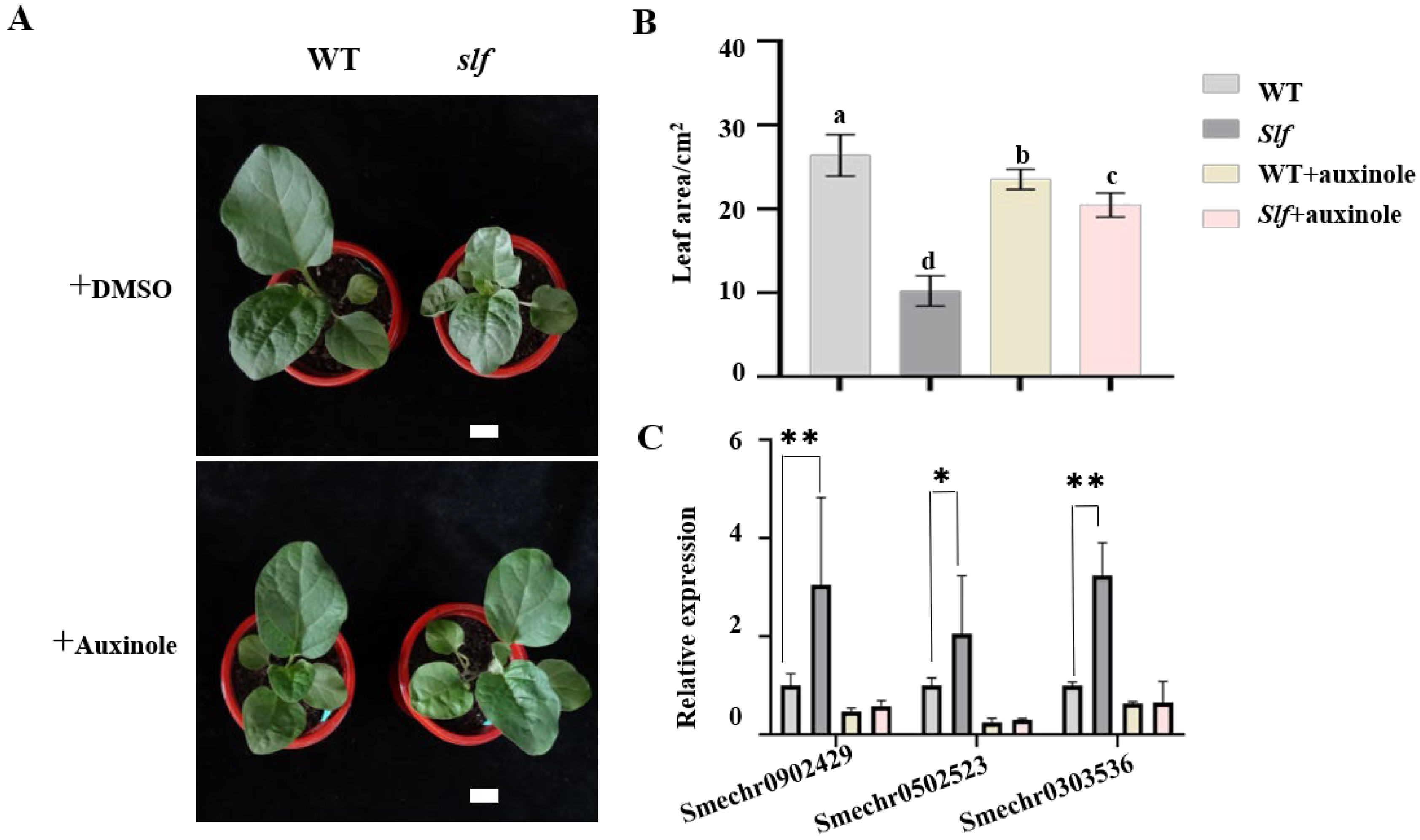 Agronomy 12 02647 g007