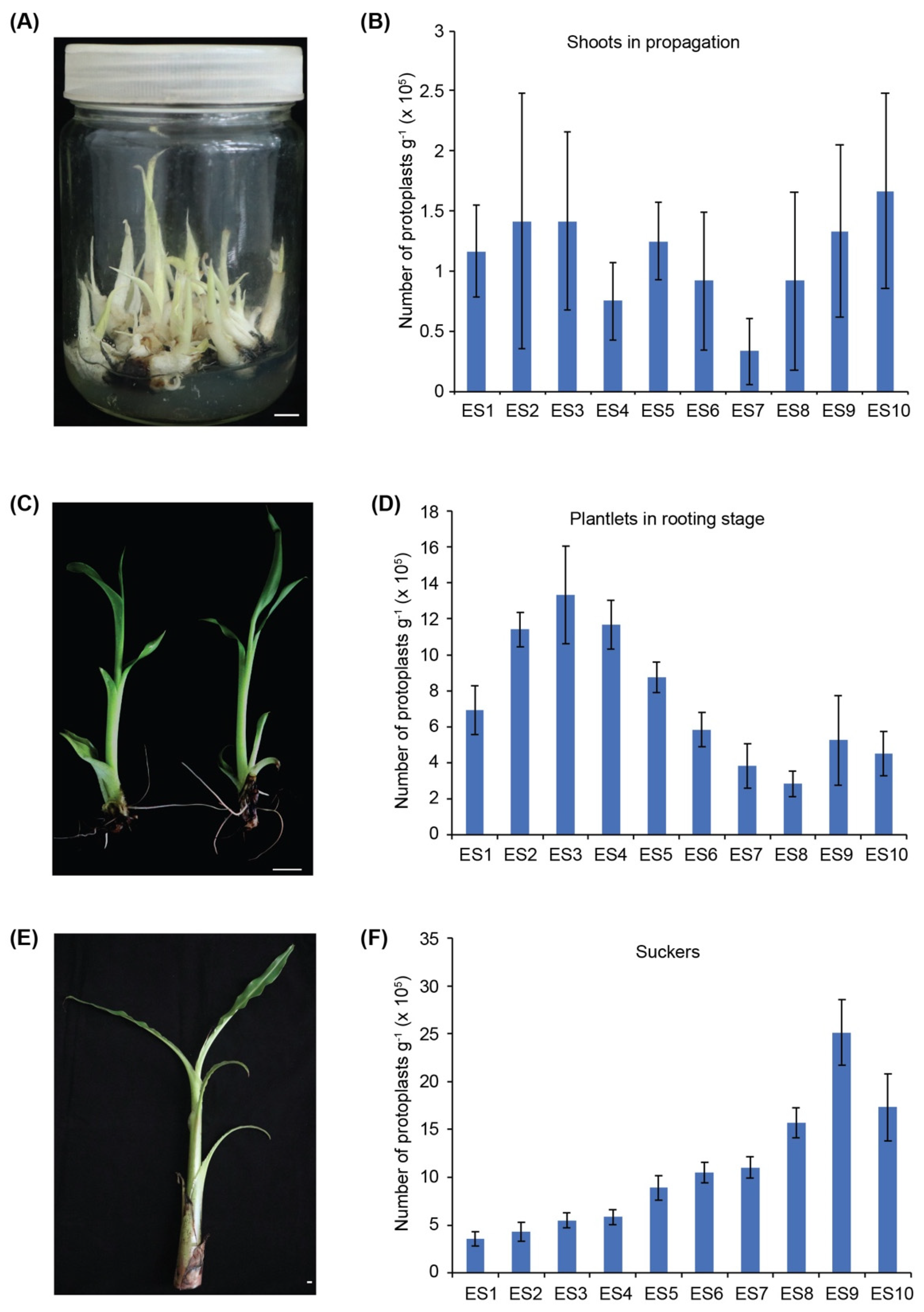 Agronomy 12 02648 g001 Agronomy 12 02648 g001