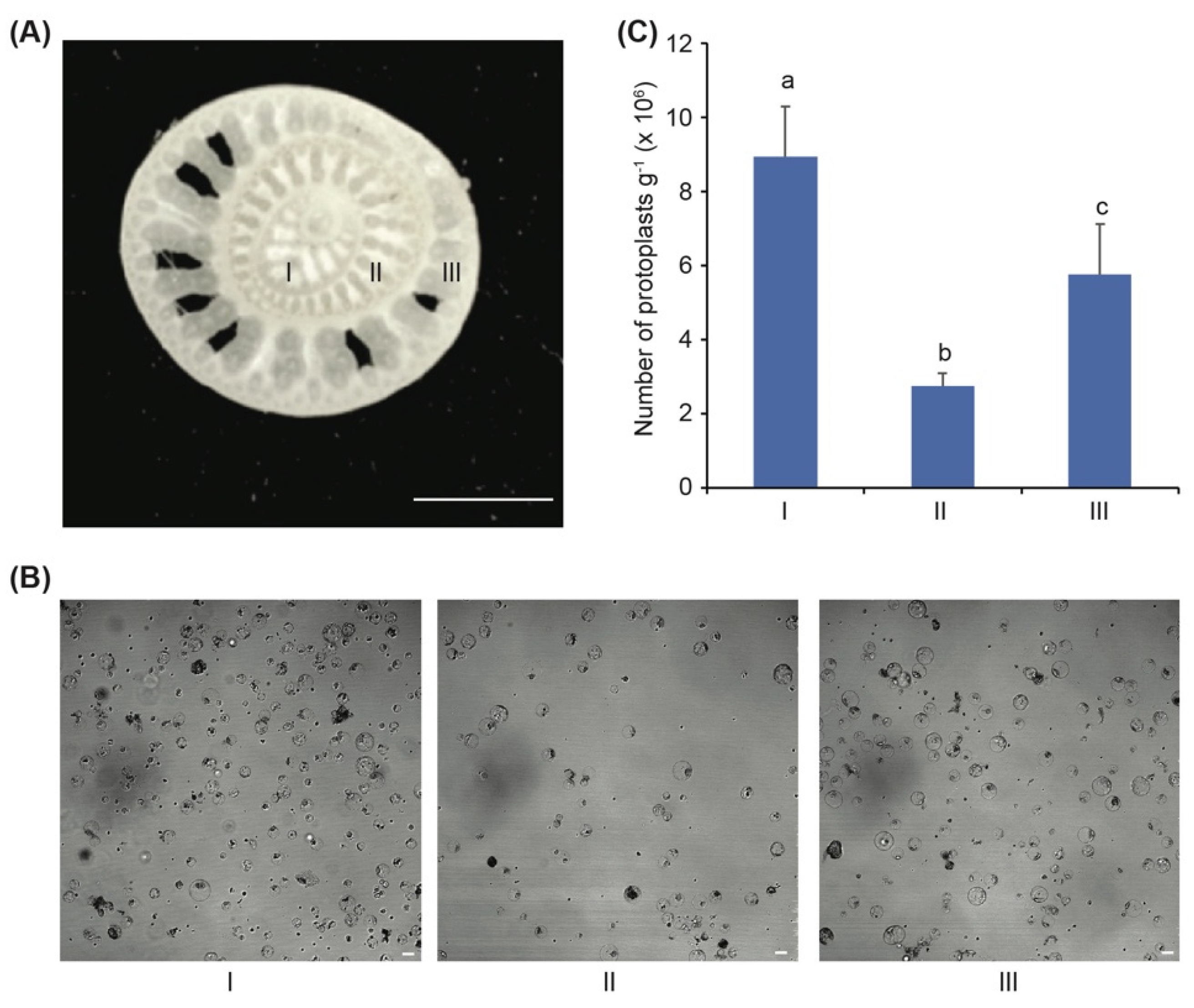 Agronomy 12 02648 g002 Agronomy 12 02648 g002