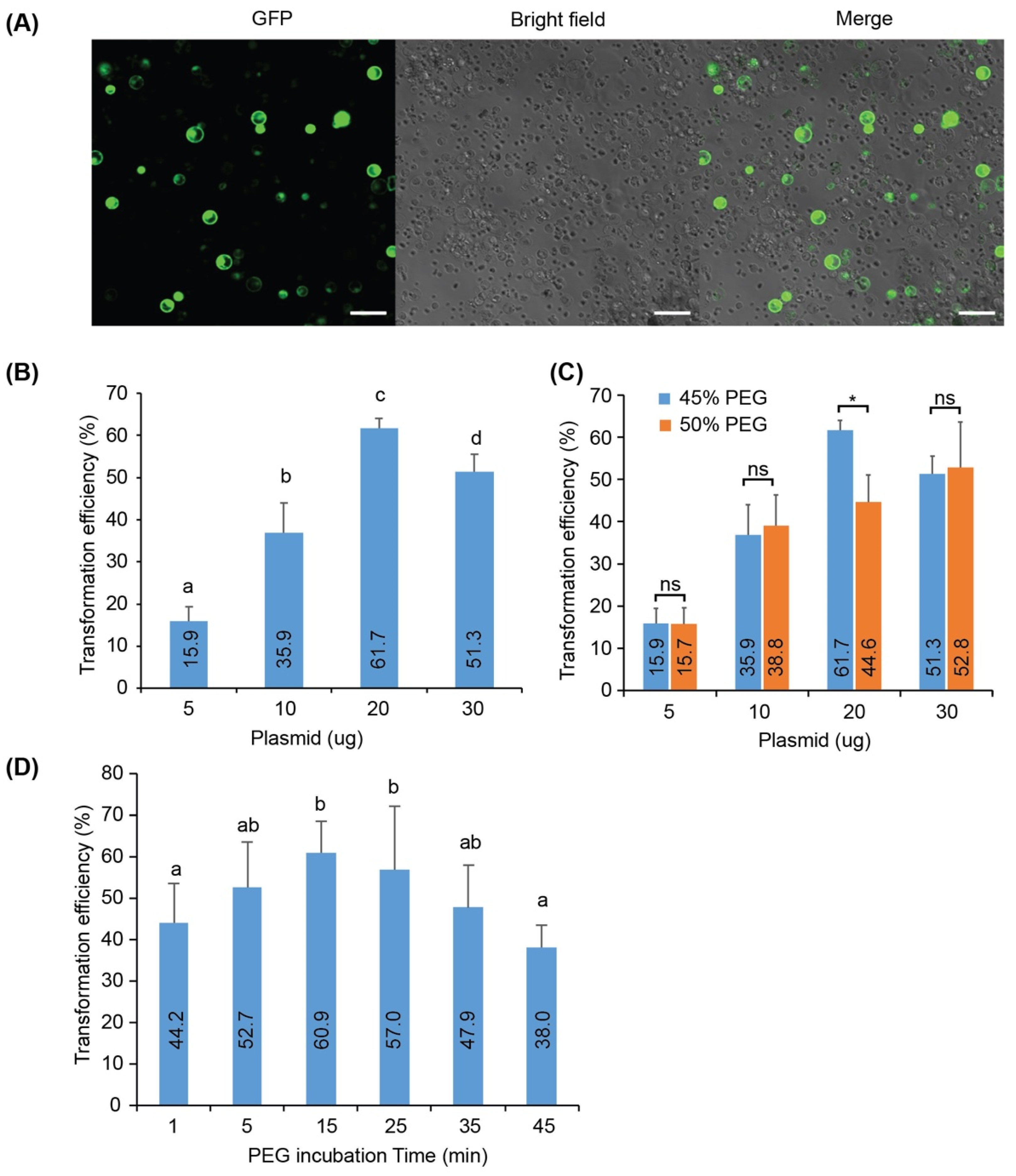 Agronomy 12 02648 g004 Agronomy 12 02648 g004